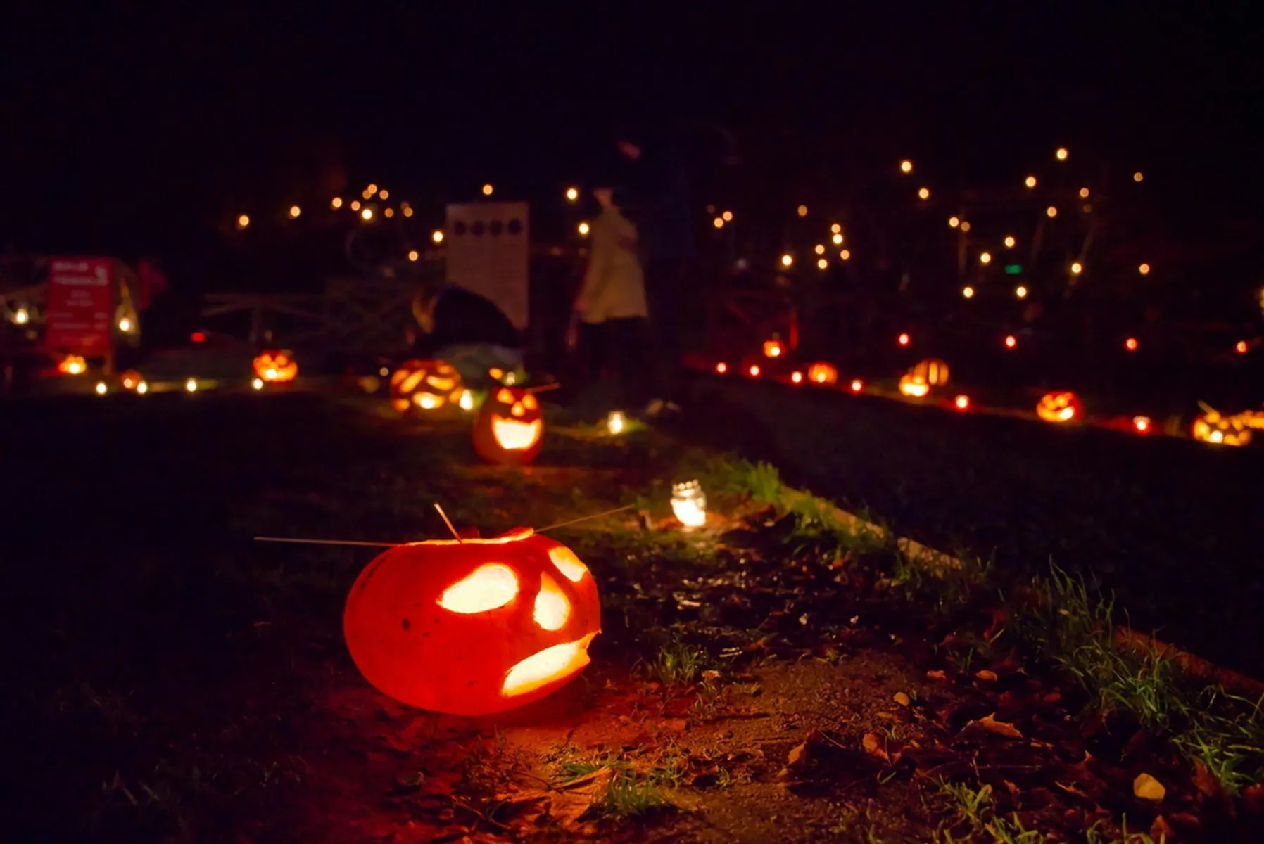 Ruduo Birštone / R. Gustaičio nuotr.