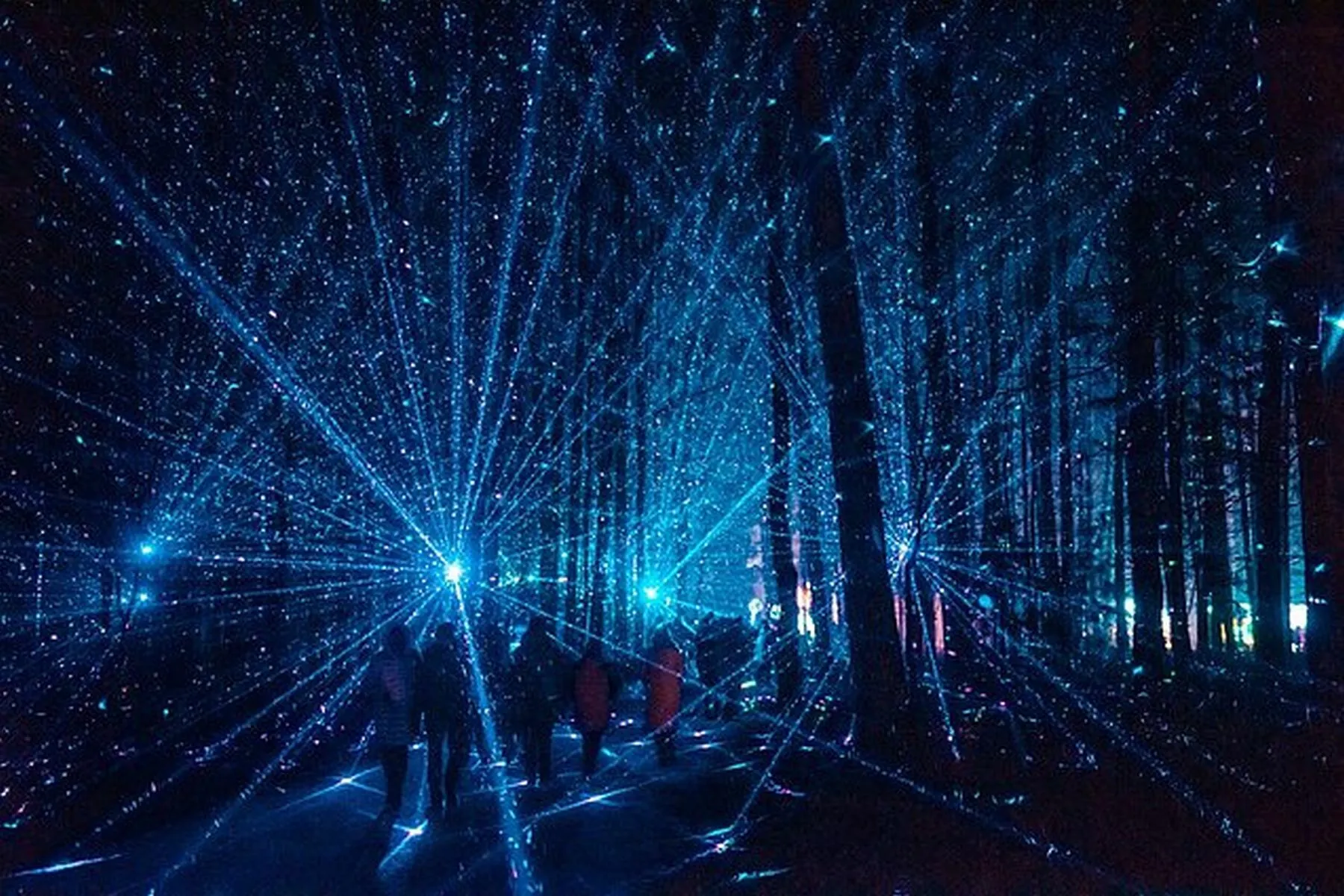 Šviesų festivalis Rumšiškėse