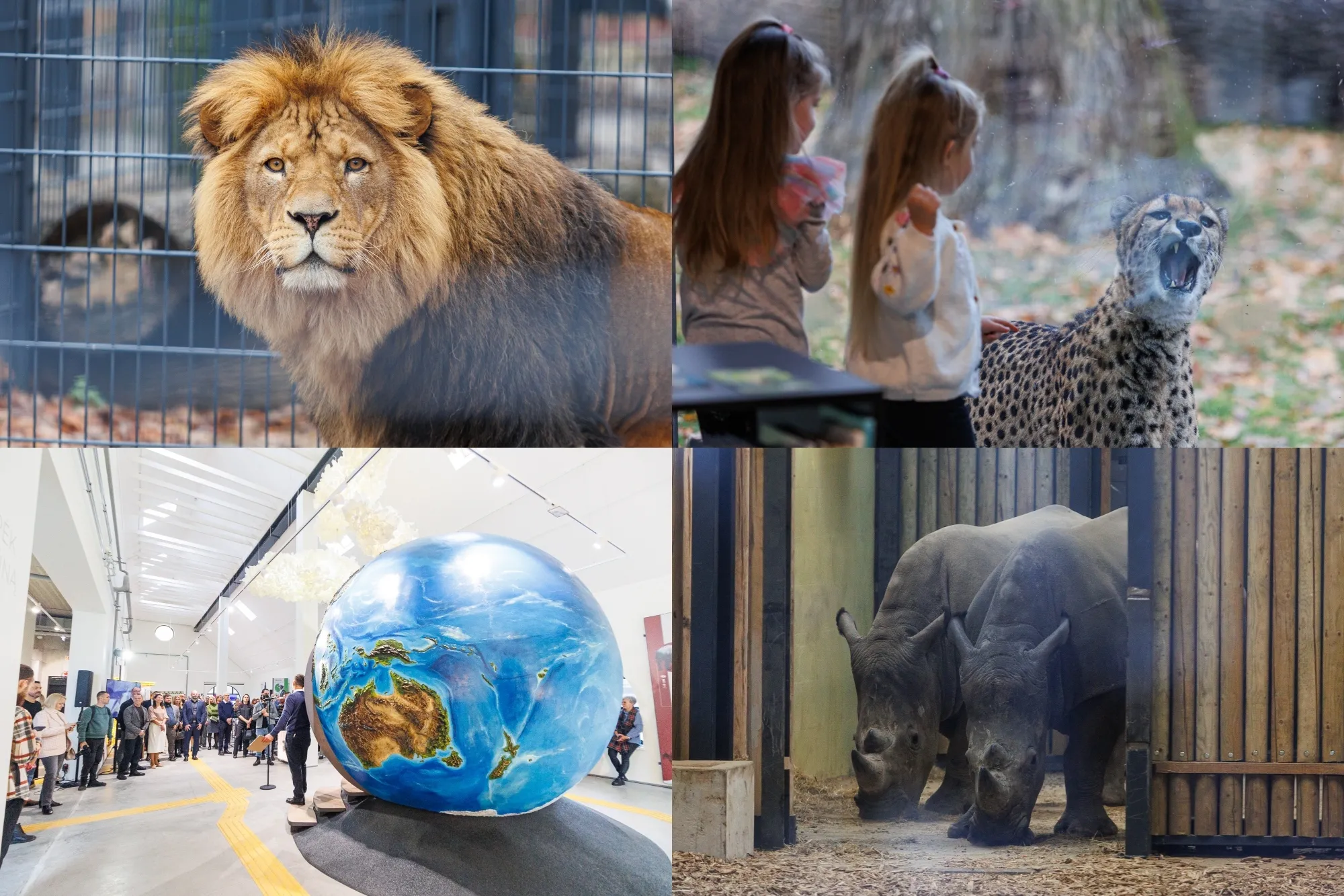 Atidaromas Kauno Zoologijos sodas
