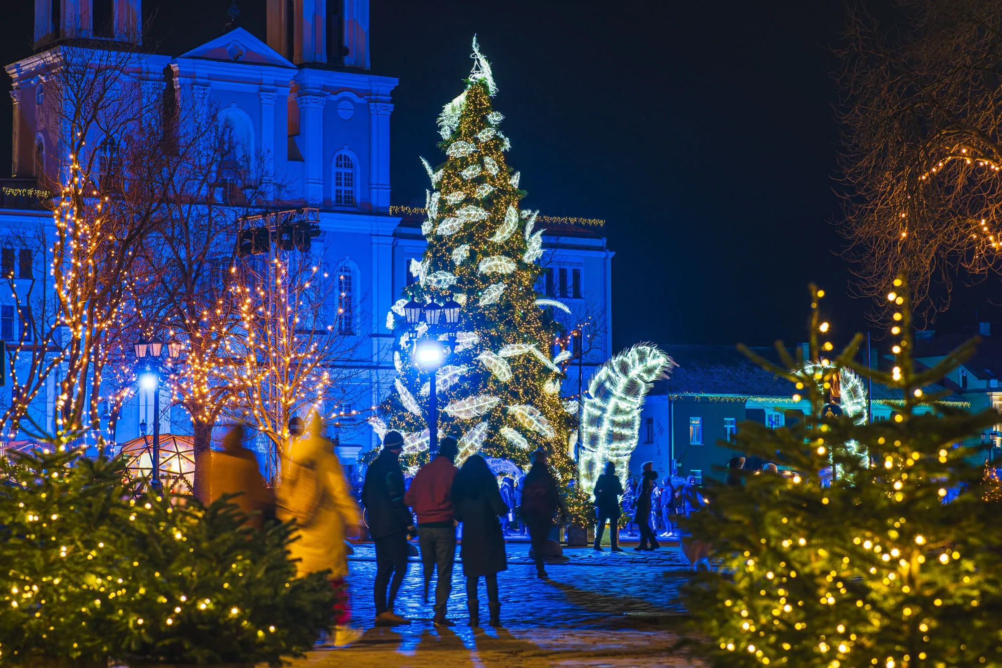 Miesto Kalėdų eglė