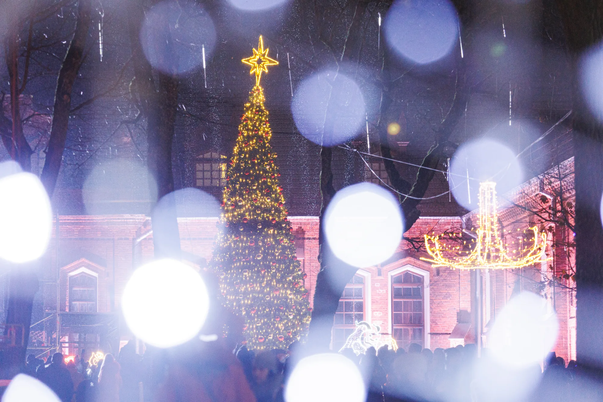 Raudondvario kalėdinė eglė