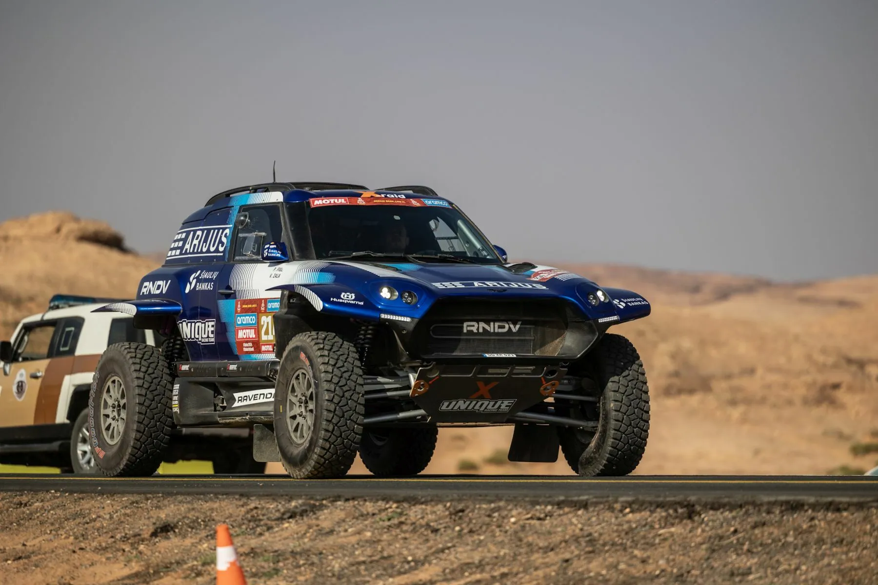 Dakaro ralis, V. Žala