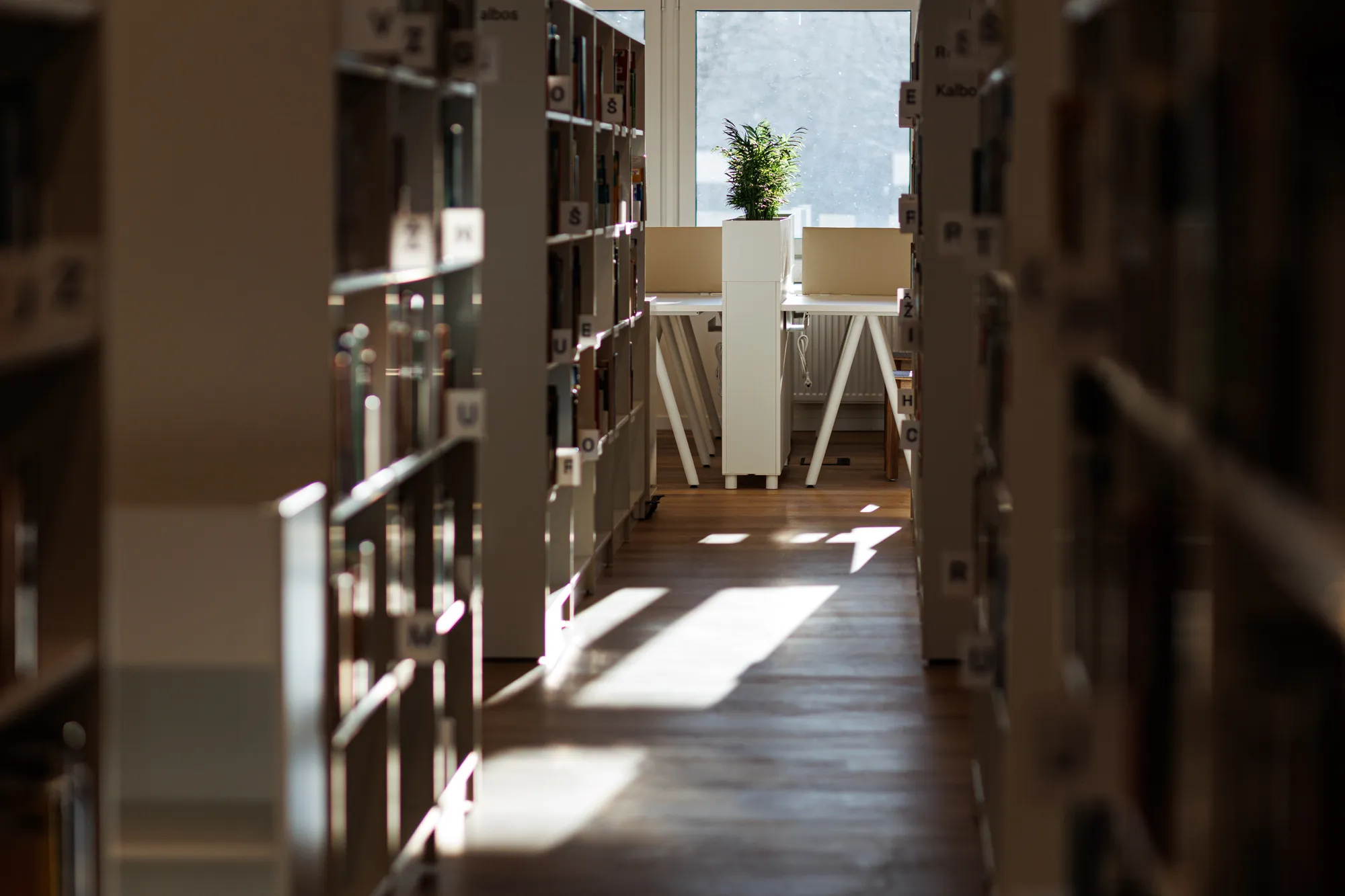Atidaroma atnaujinta Ąžuolyno biblioteka
