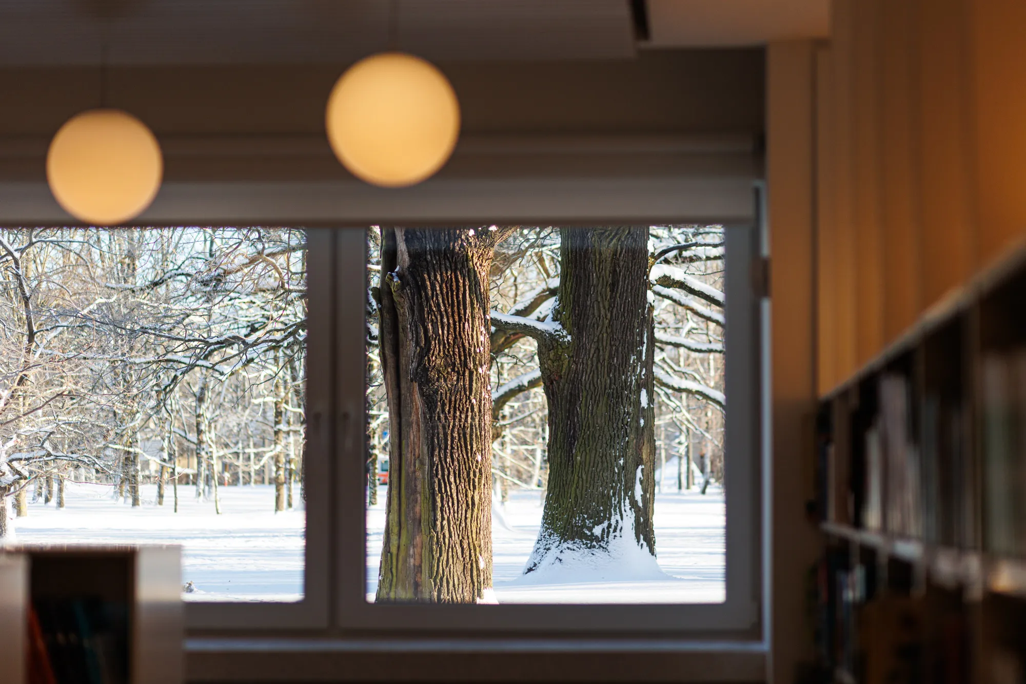 Atidaroma atnaujinta Ąžuolyno biblioteka