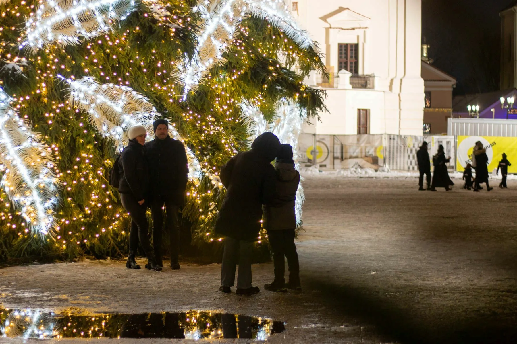 Paskutinės Kalėdų eglutės dienos