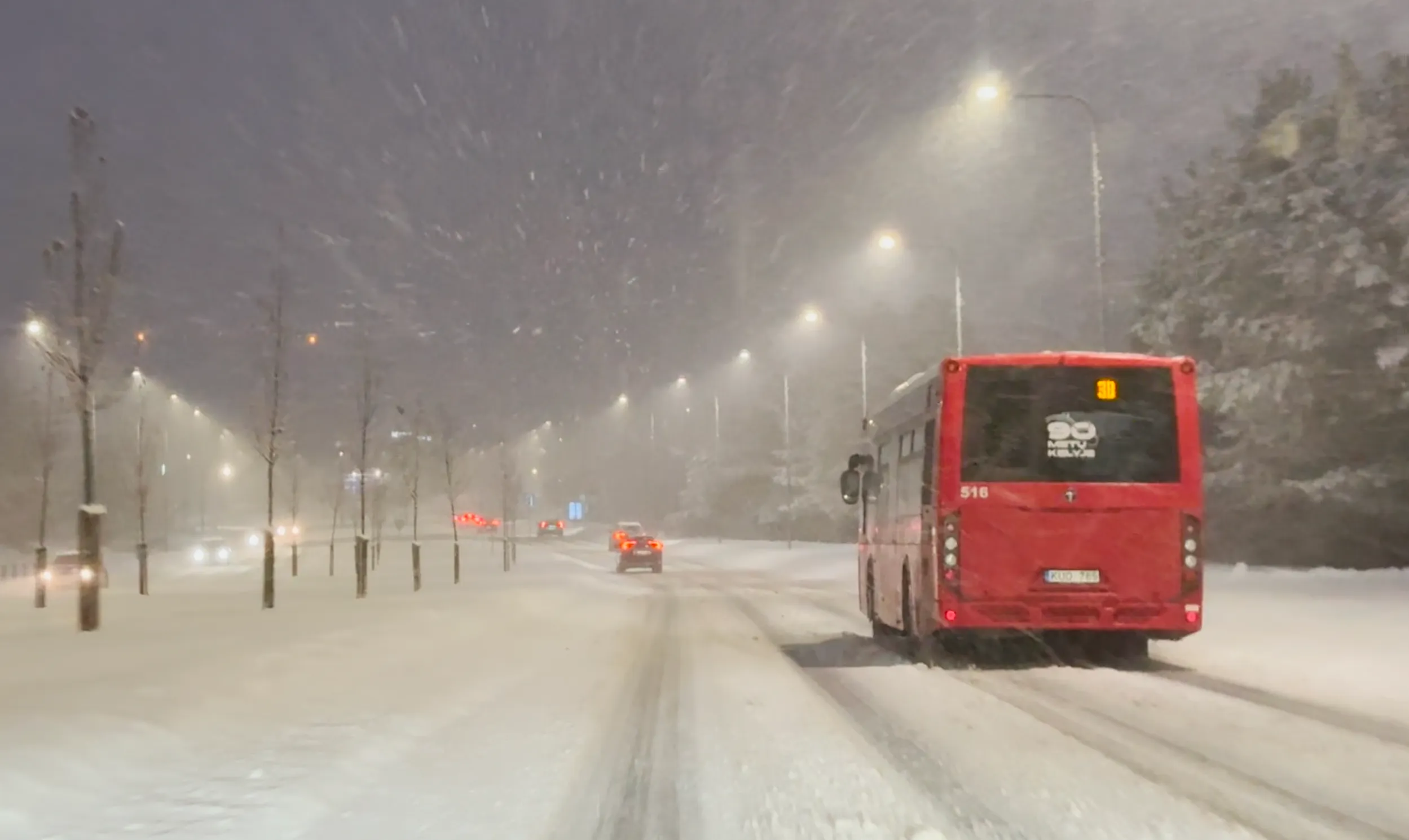 Eismas Kaune per snygį