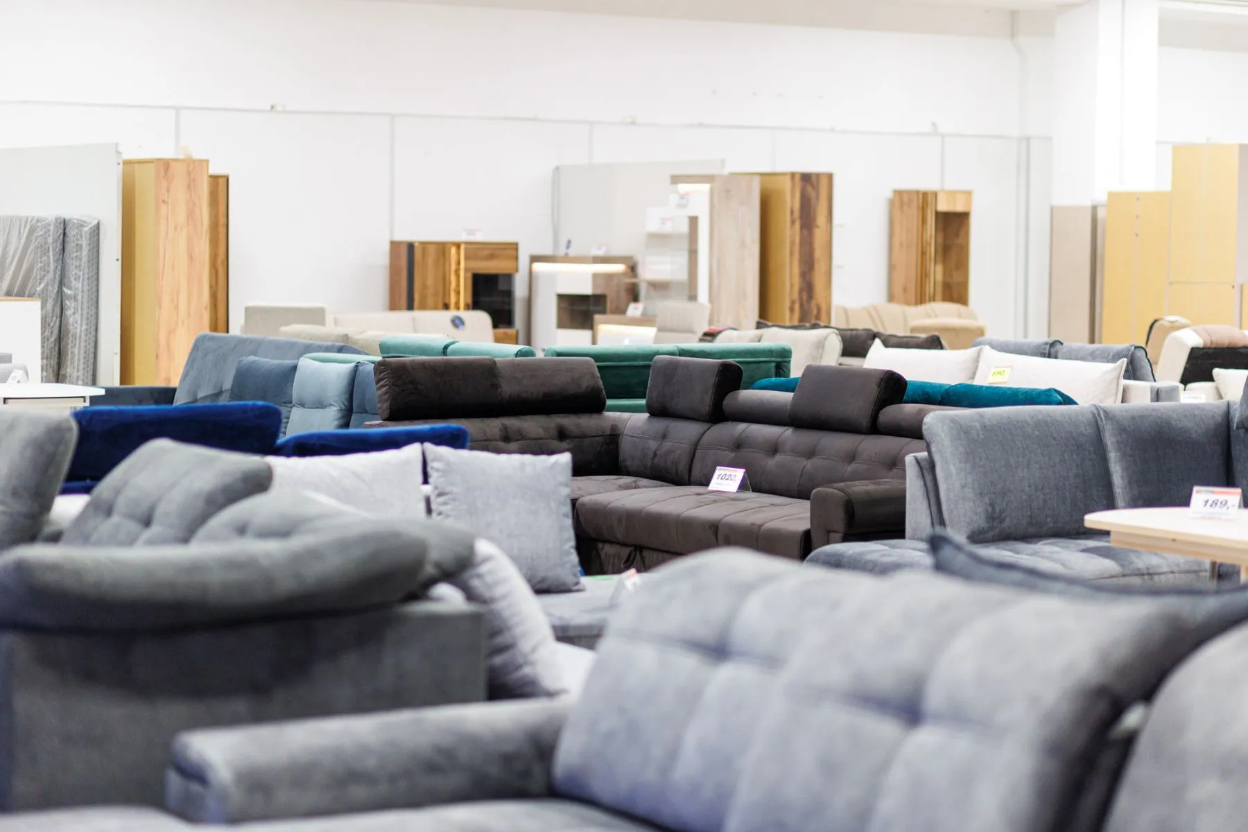 „InMondus“ / R. Tenio nuotr.