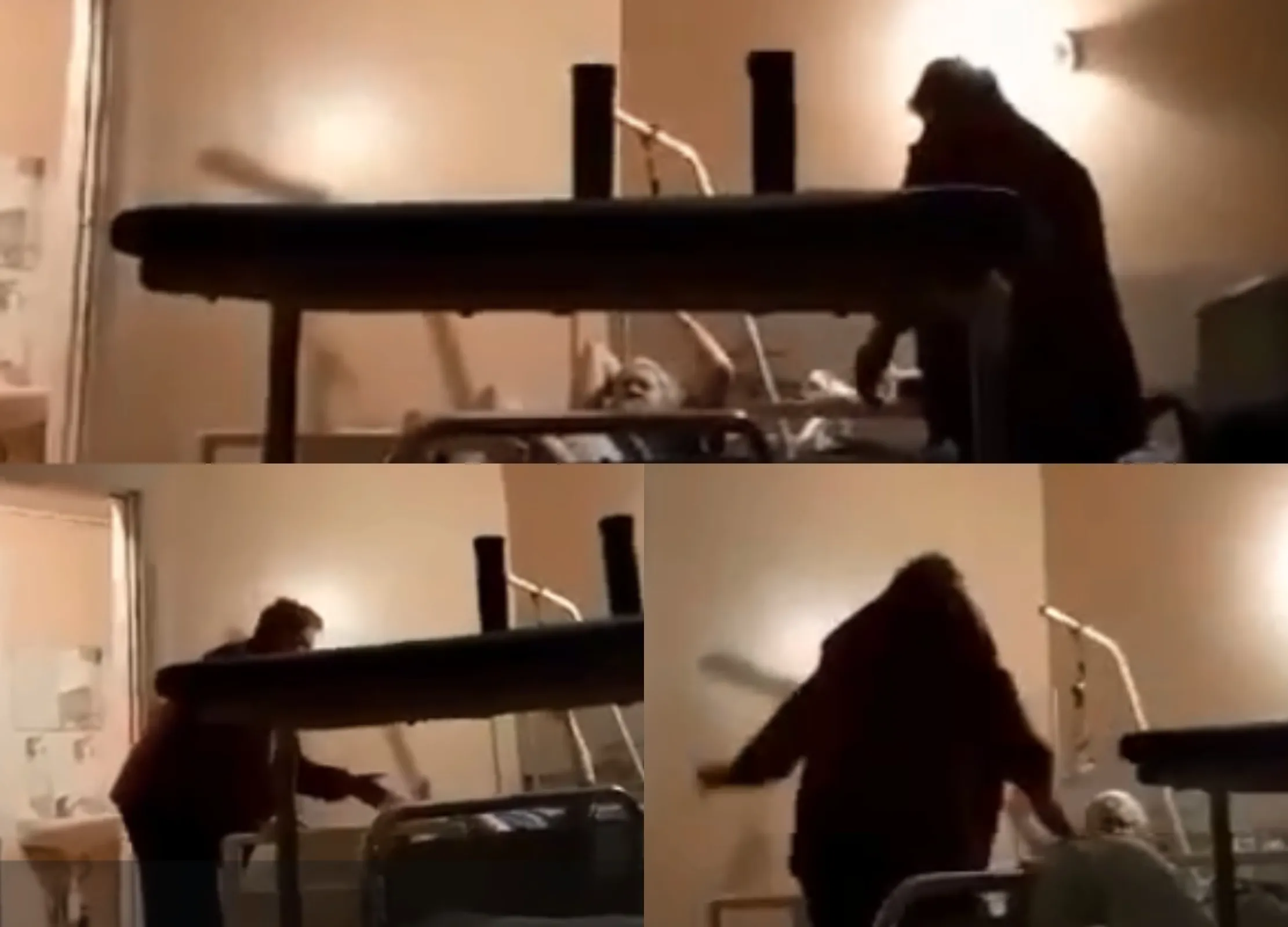 Slaugytojos padėjėjos elgesys