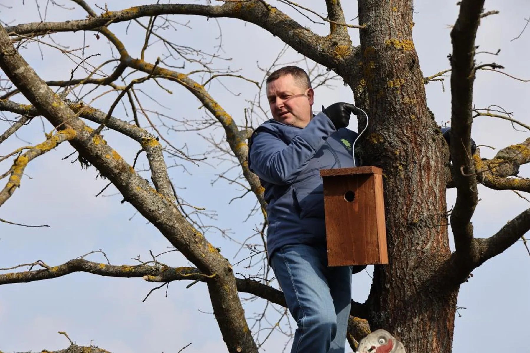 Sugrįžtantiems paukščiams - nauji namai Kauno rajone