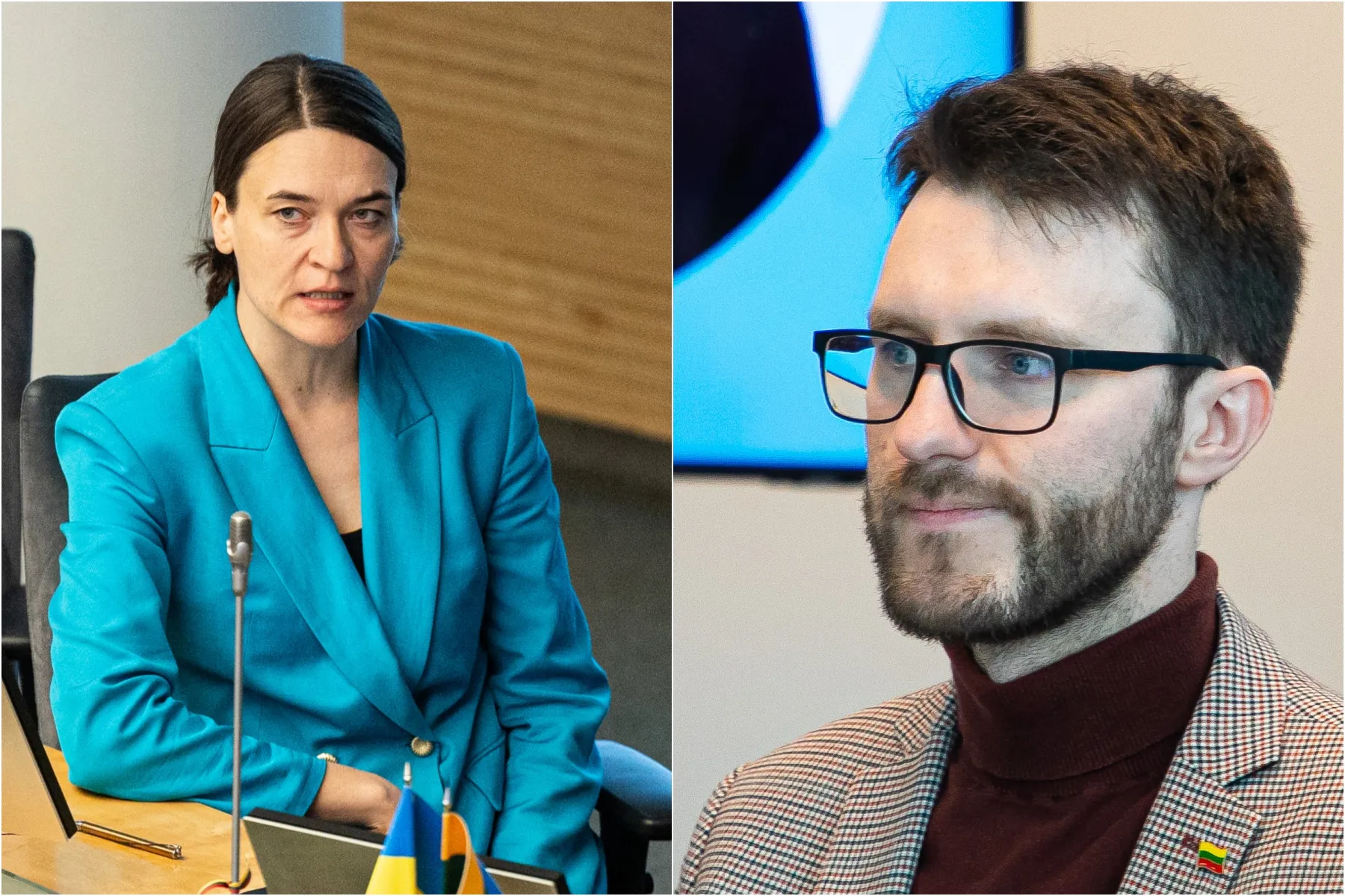 Radvilė Morkūnaitė-Mikulėnienė, Vytautas Šilinskas / BNS, P. Peleckio, ELTA, D. Labučio nuotr.