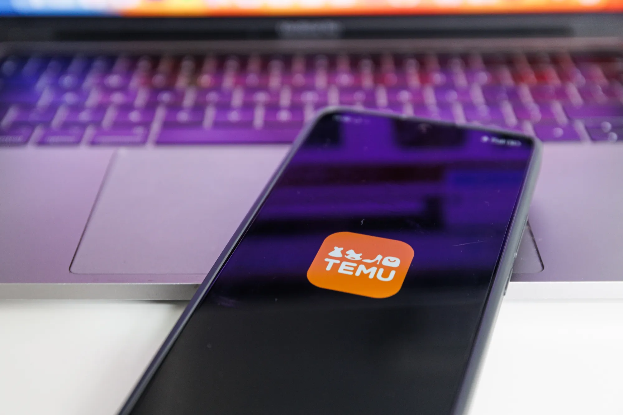 Internetiniai apsipirkimai Temu parduotuvėje / R. Tenio nuotr.