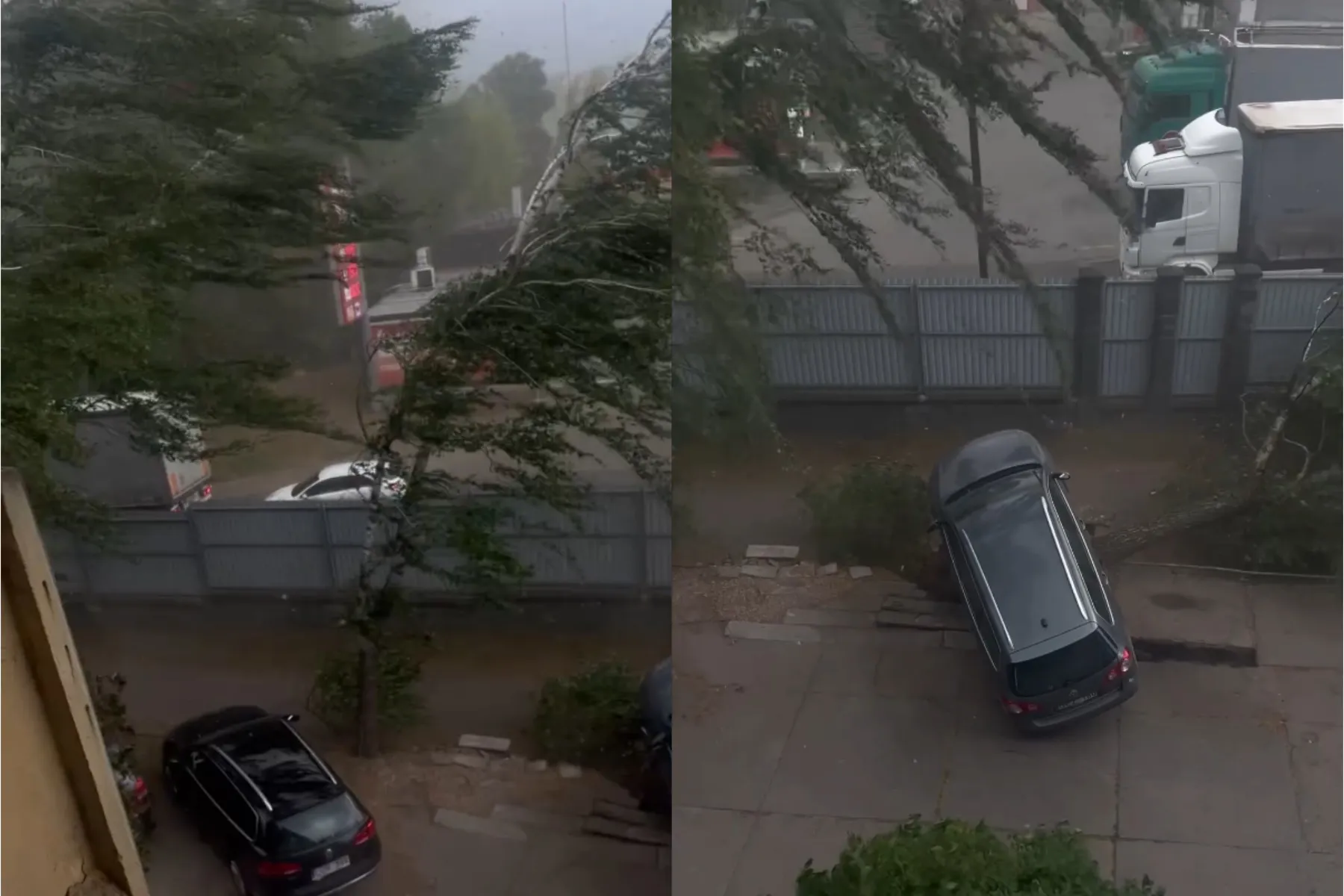 Audra Kaune / Stop kadro nuotr.