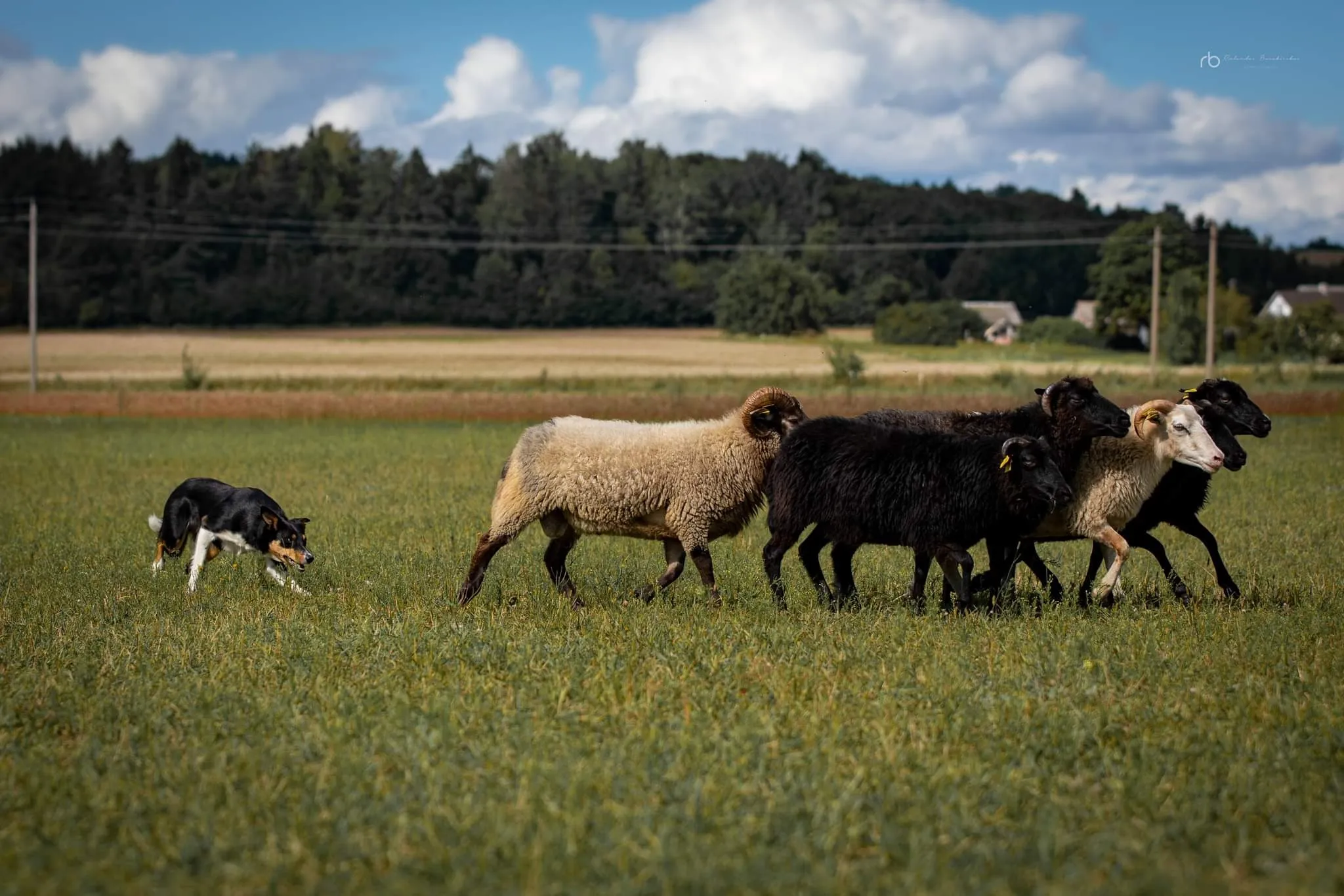 Spektaklis „Ultraficciónnr. 1/Fracciones de tiempo“.