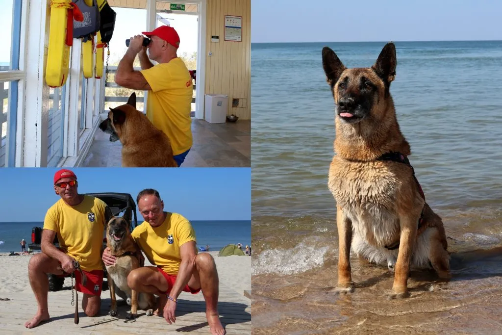 Nidos gelbėtojai ir Portas