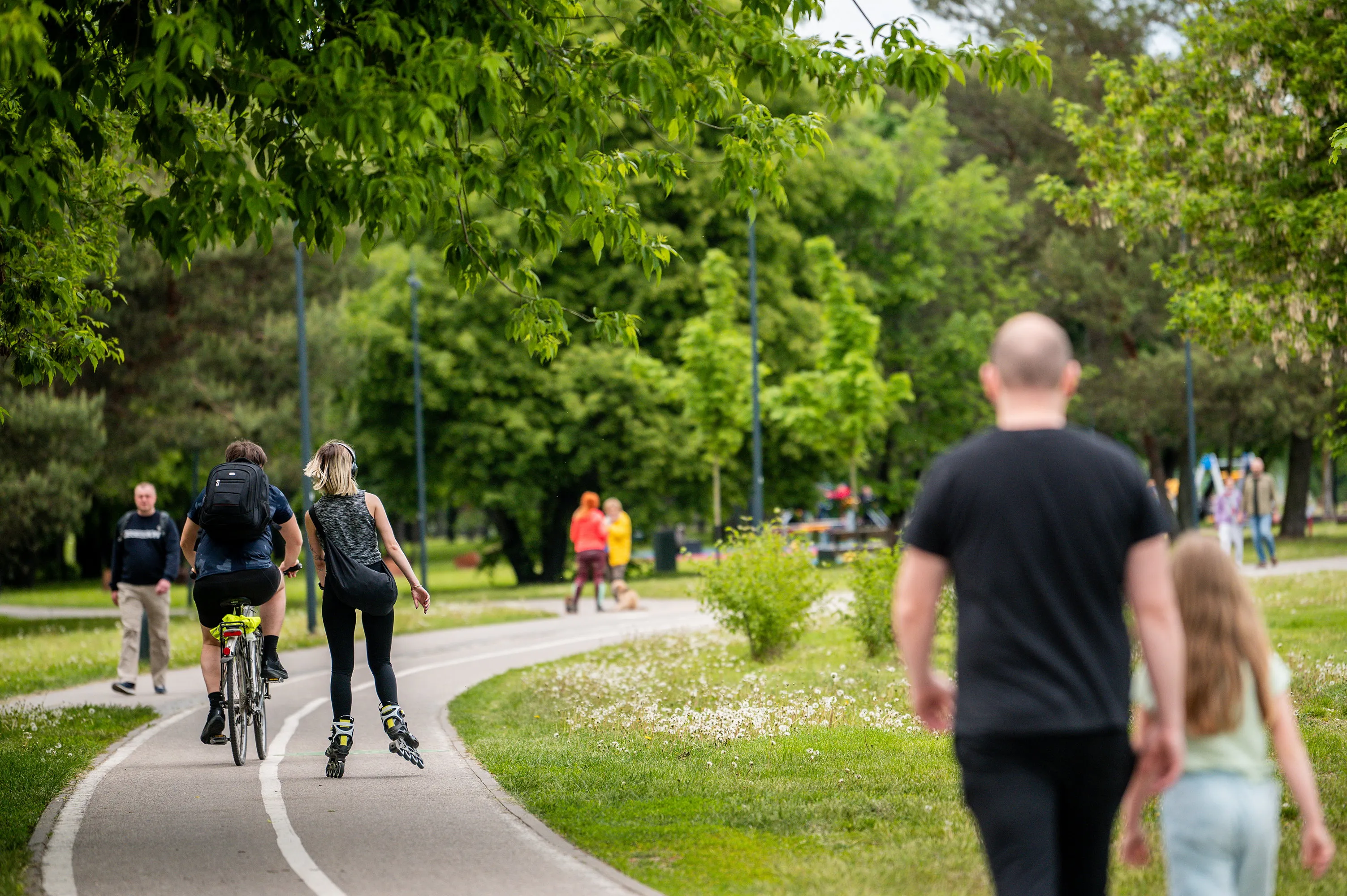 Darnaus judumo savaitė