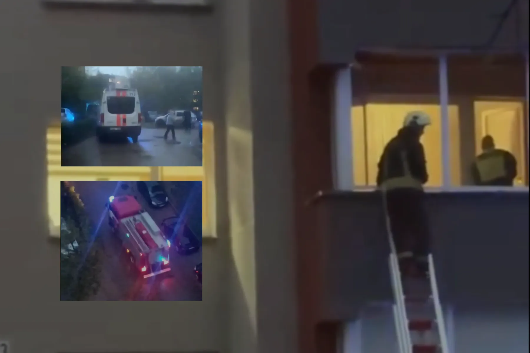 Tarnybos Savanorių pr