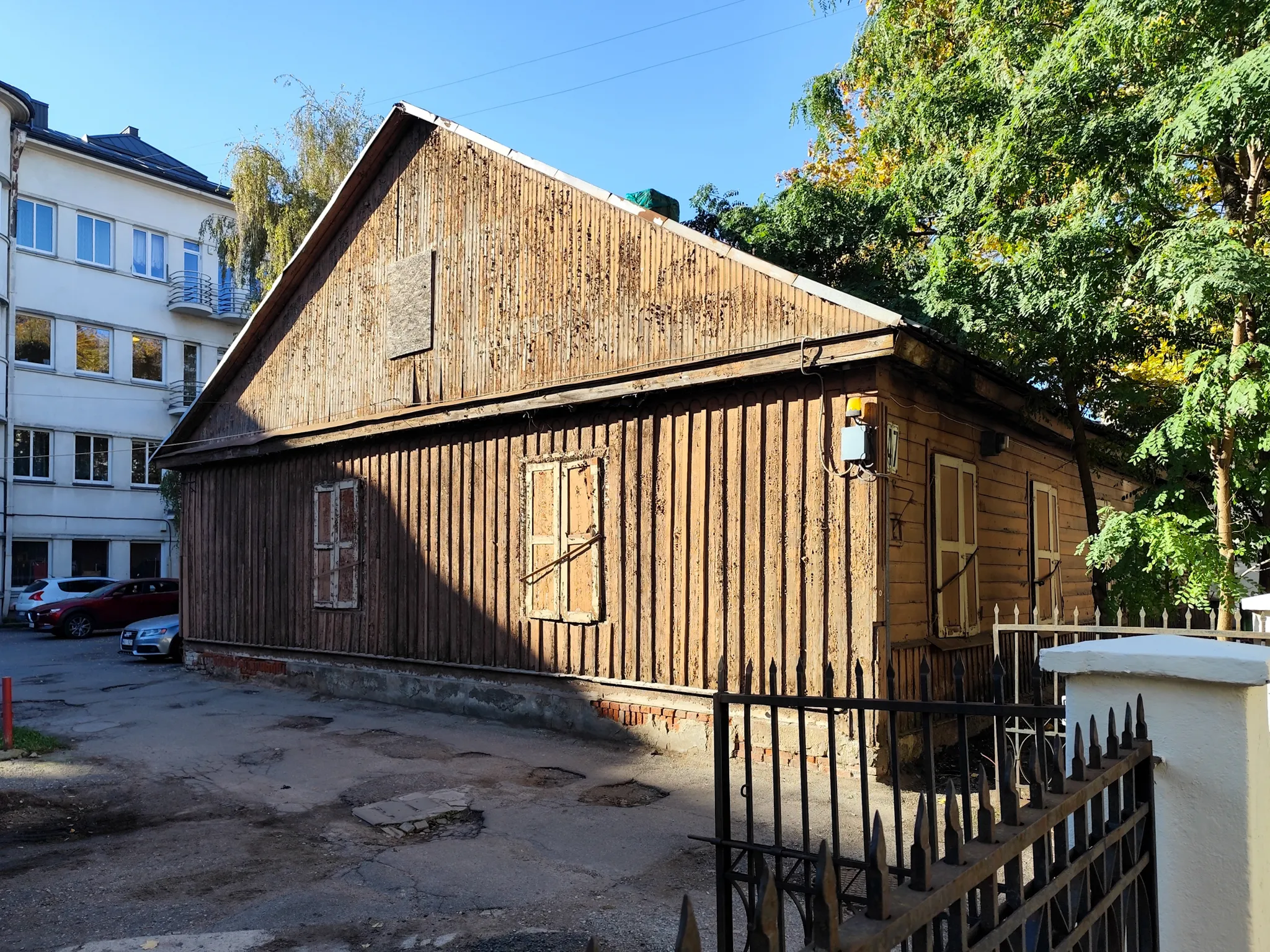 Kęstučio g. 47 medinukas / R. Tenio nuotr.
