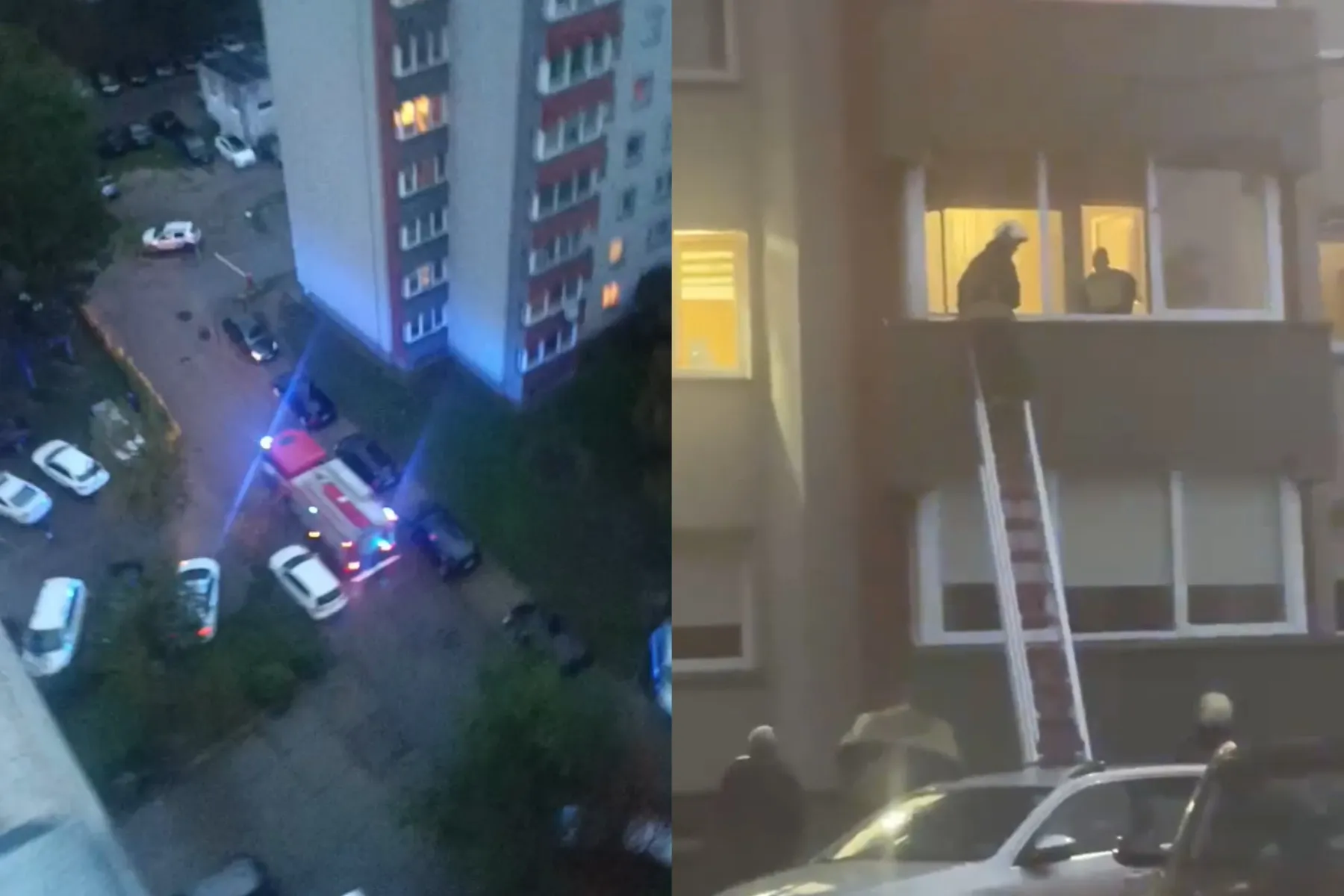 Skaitytojų vaido įšrašo stop kadro nuotr.