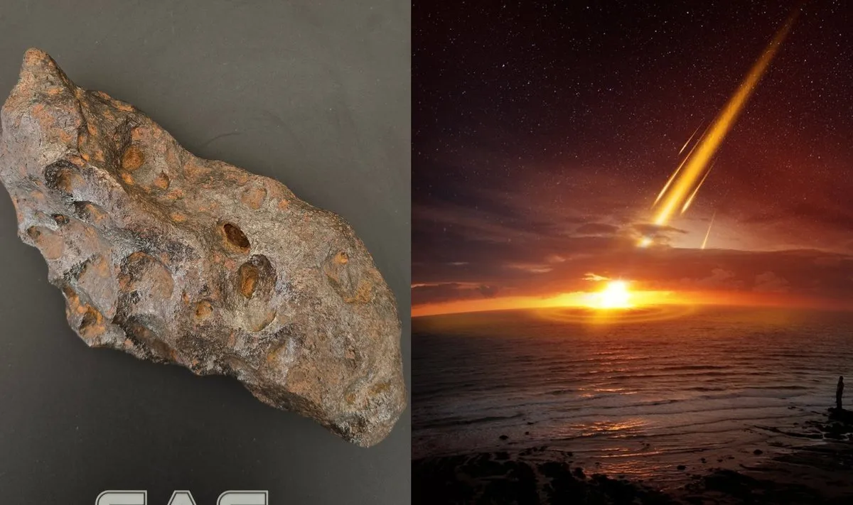 Campo del Cielo meteoritas / Lietuvos muitinės / Shutterstock / Delfi koliažas