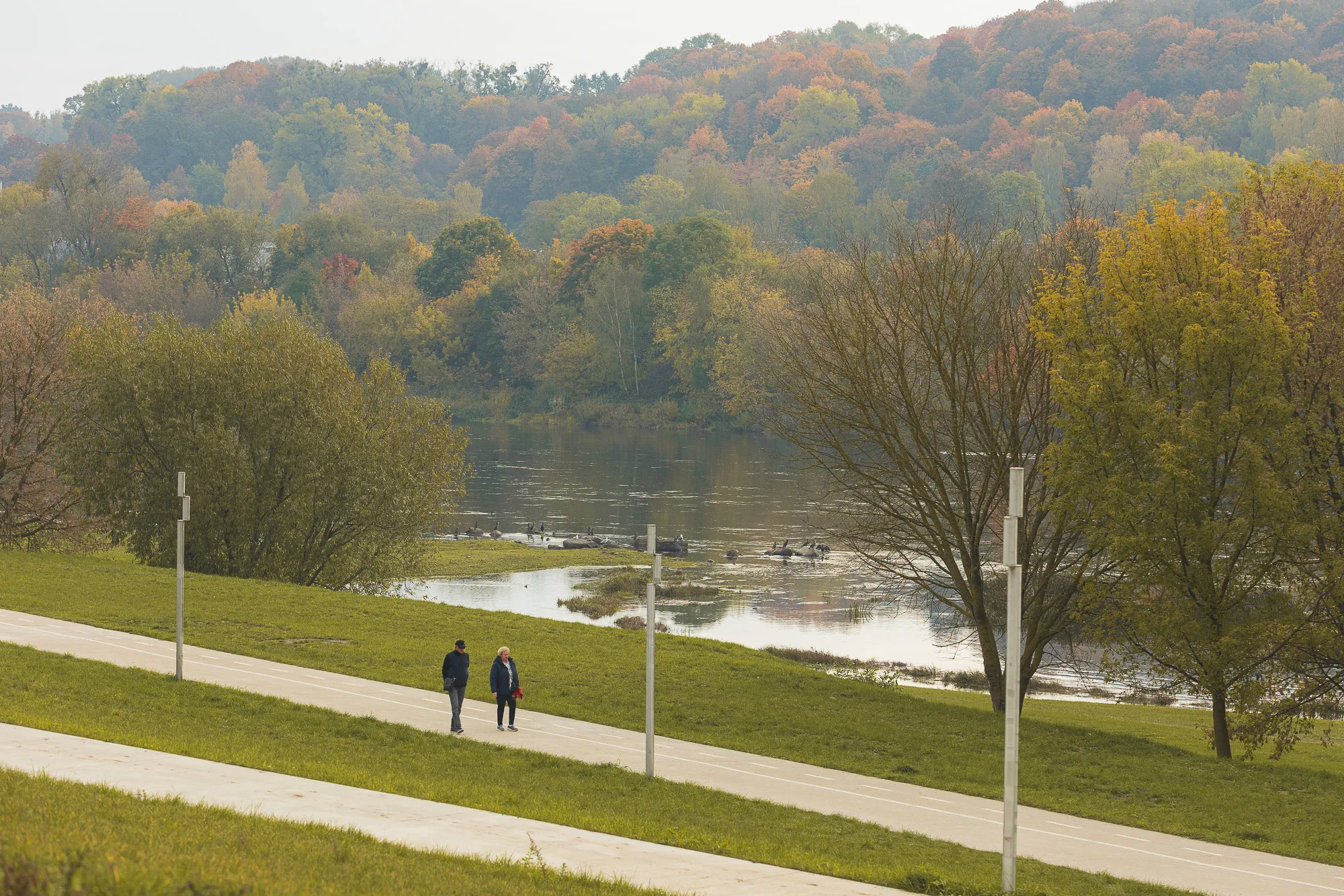 Ruduo Nemuno saloje / R. Tenio nuotr.