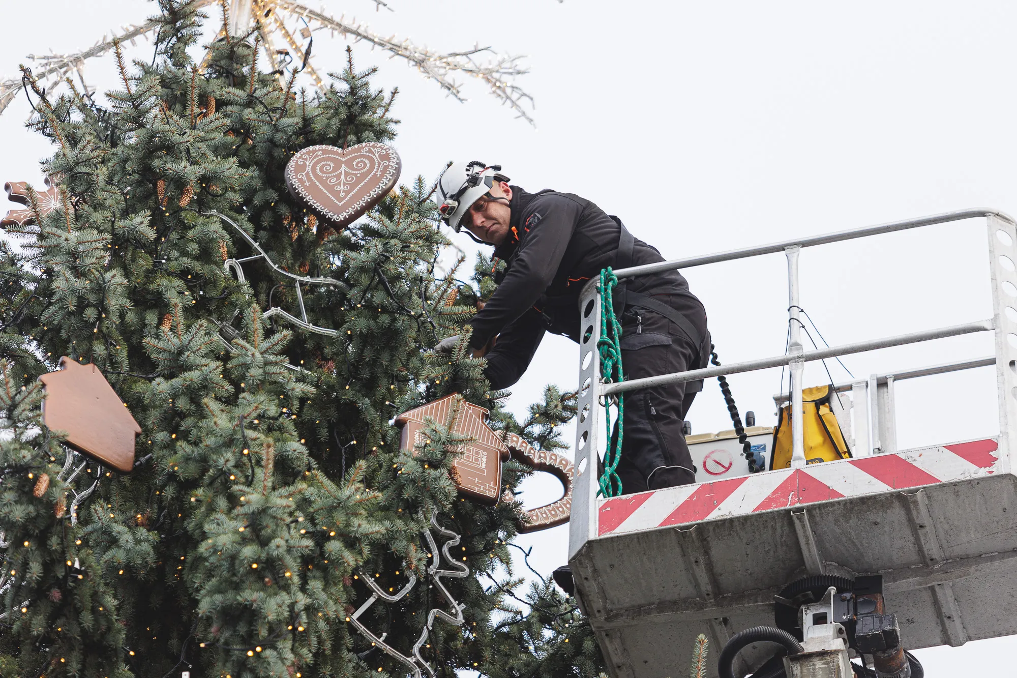 Puošiama Kalėdų eglė vienybės aikštėje / R. Tenio nuotr.