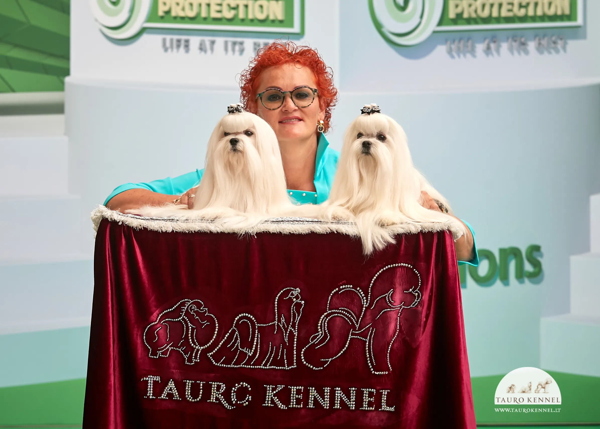 Veisėja Janita J. Plungė ir „Tauro Kennel“ veislyno maltos bišonai / Organizatorių nuotr.