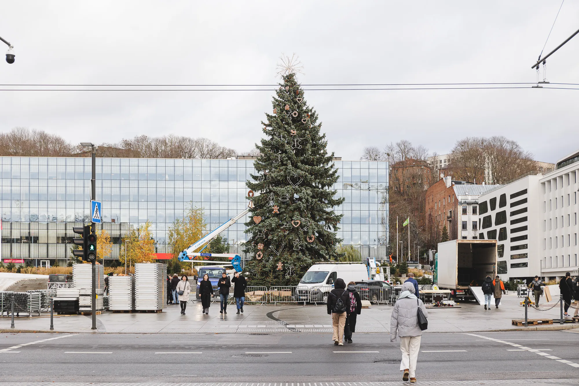 Puošiama Kalėdų eglė vienybės aikštėje / R. Tenio nuotr.
