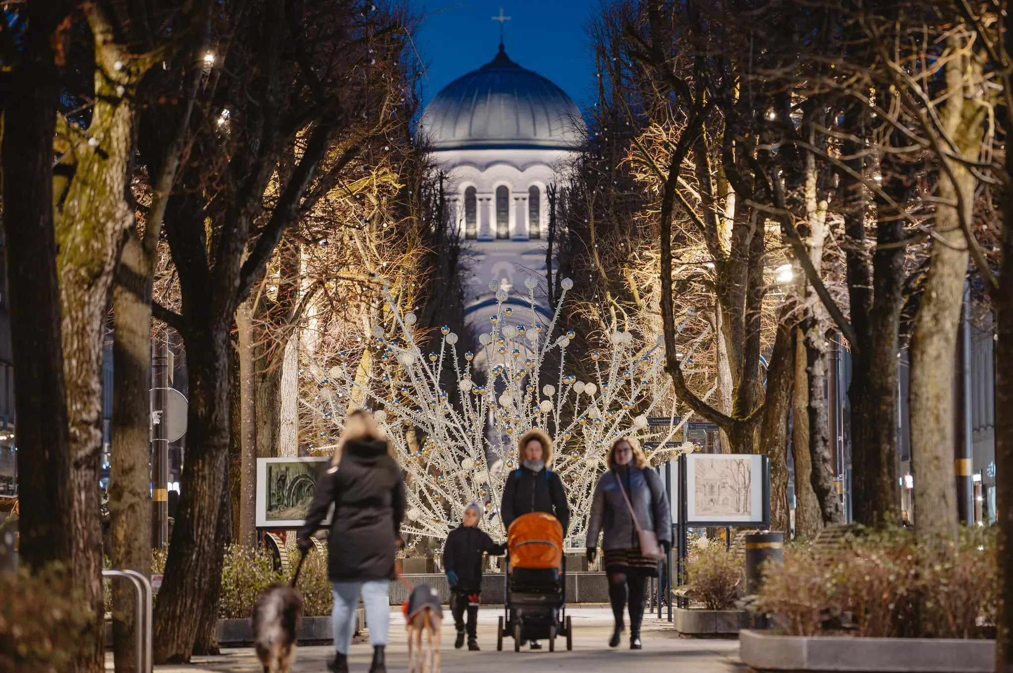 Kalėdiniai papuošimai Laisvės al. fontane / kaunas.lt nuotr.