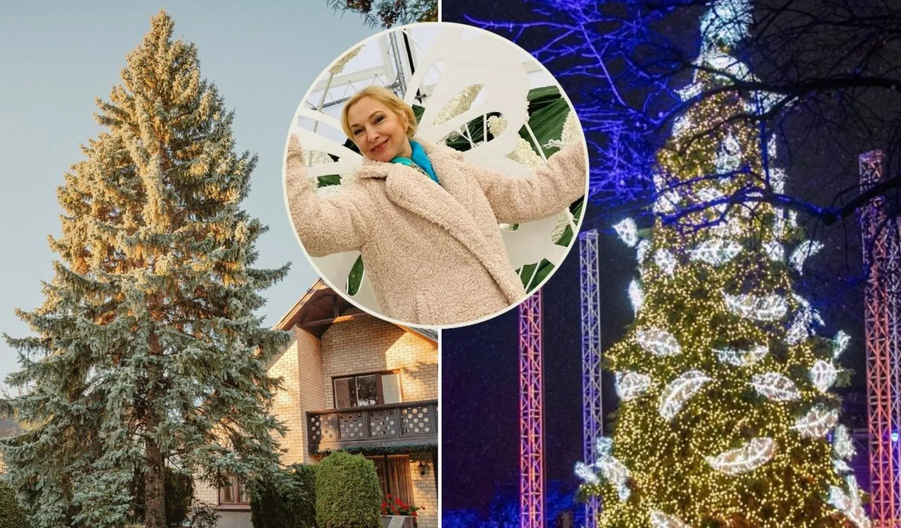 Kauno kalėdų eglė