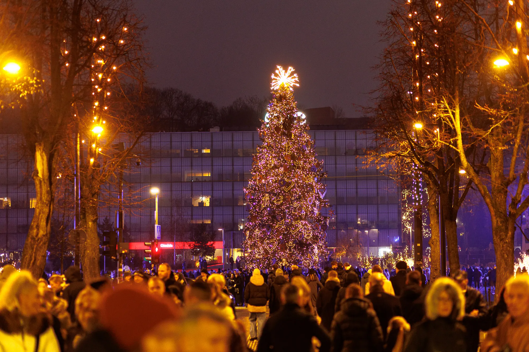 Kauno Kalėdų eglutė / R. Tenio nuotr.