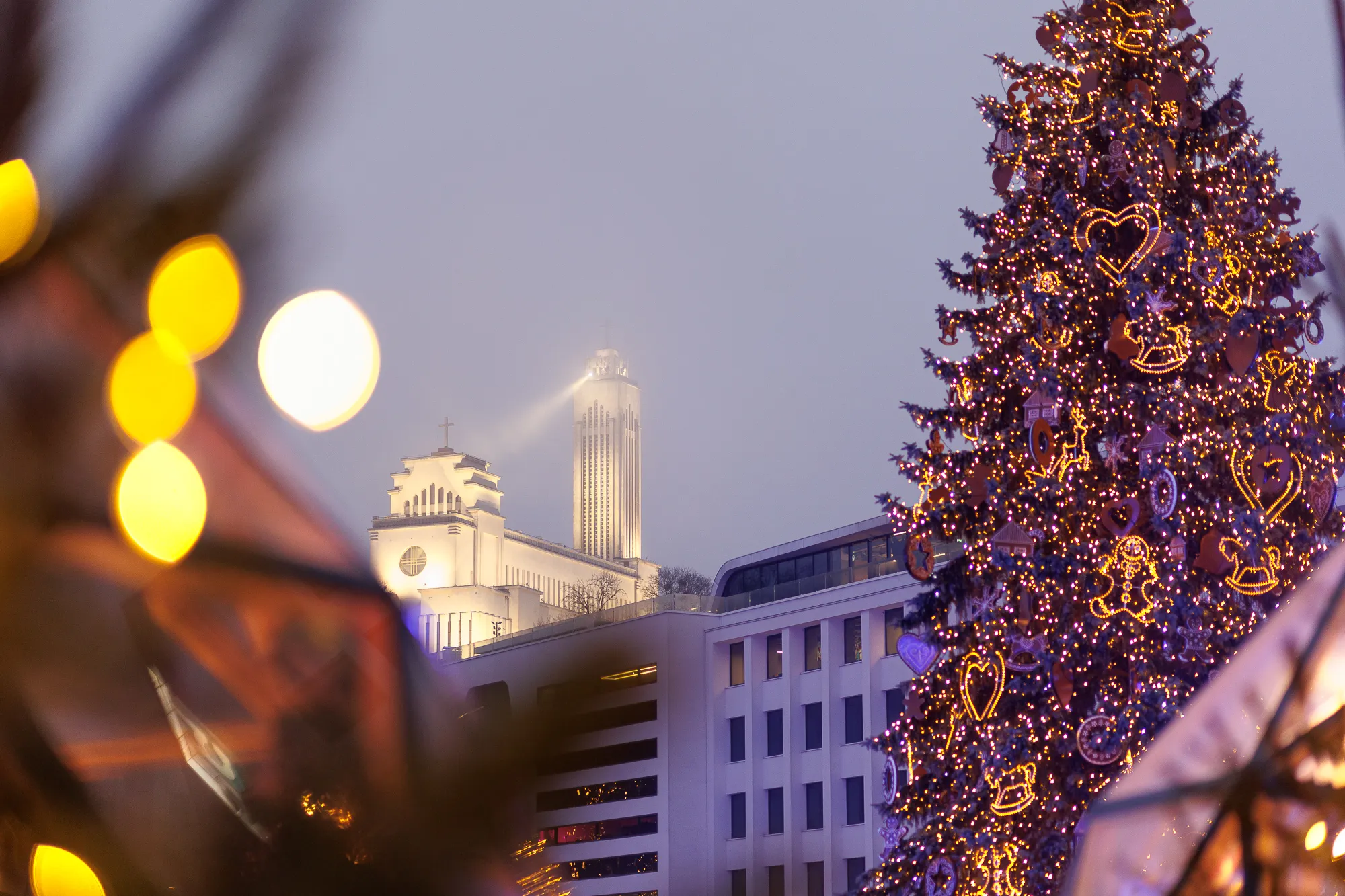 Kauno Kalėdų eglutė / R. Tenio nuotr.