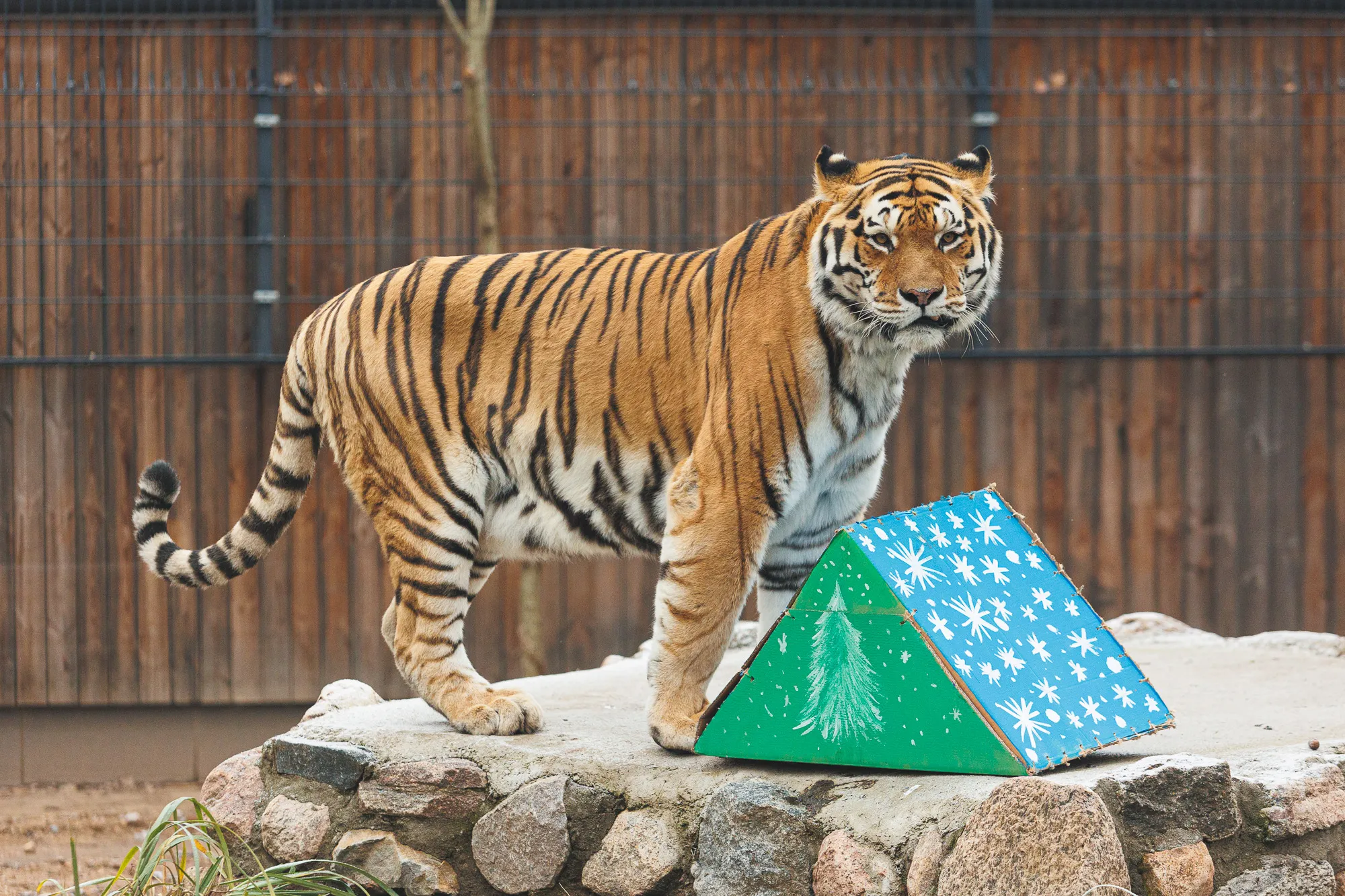 Zoologijos sodas / R. Tenio nuotr.