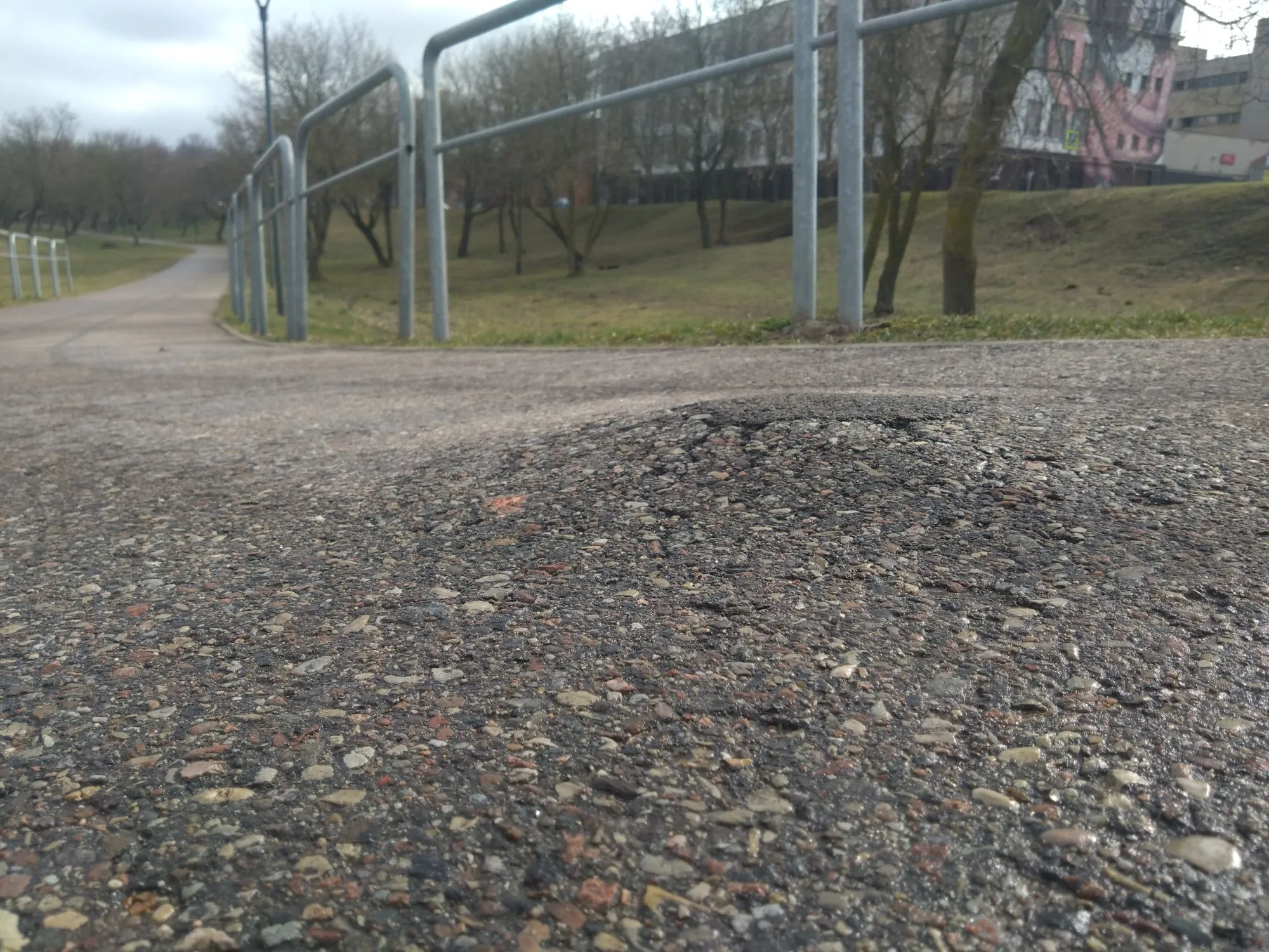 Gumbas dviračių take / „Facebook“ grupės „Kauno dviračių takai“ nuotr.