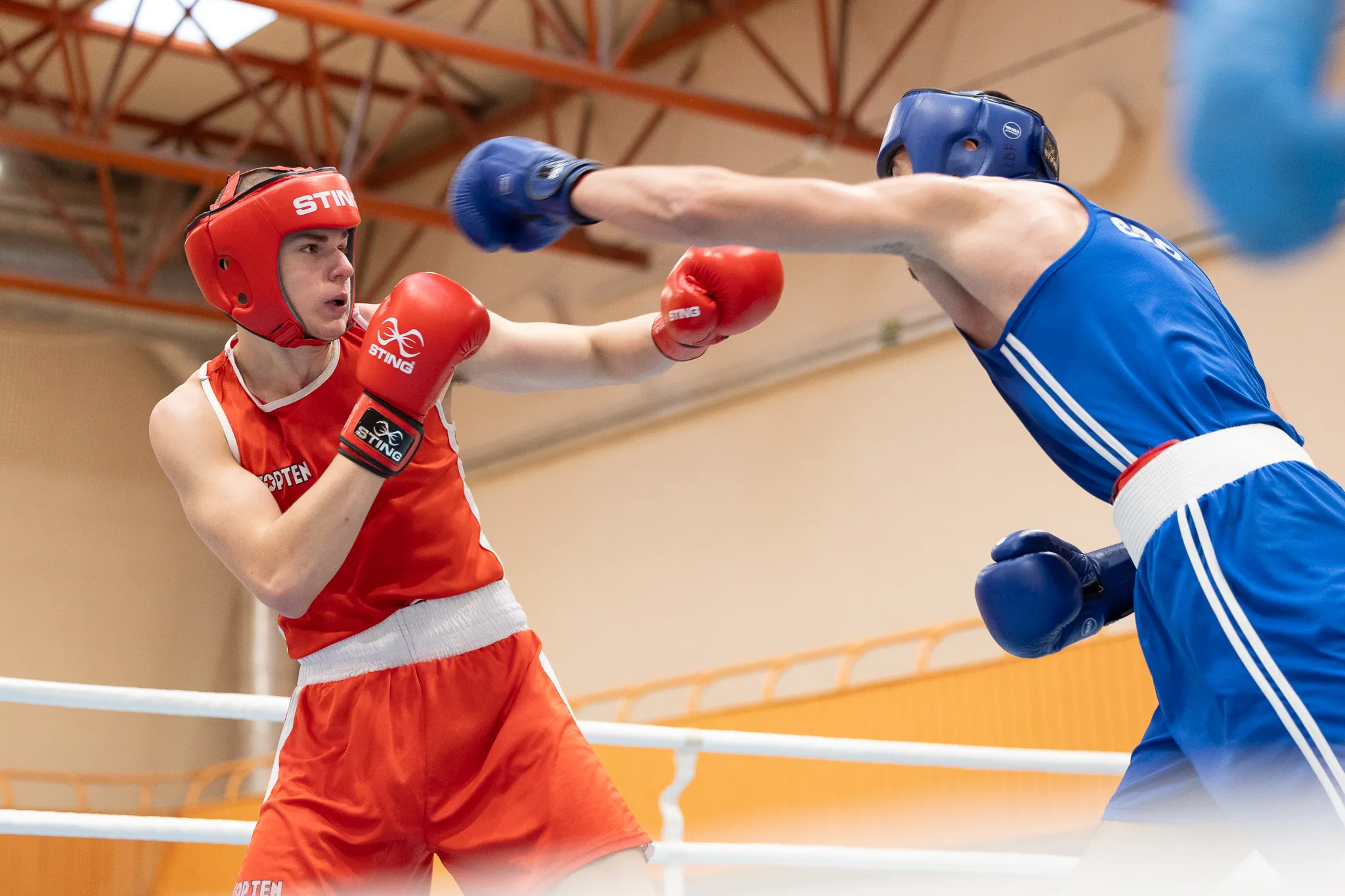 D. Pozniako jaunimo bokso turnyras