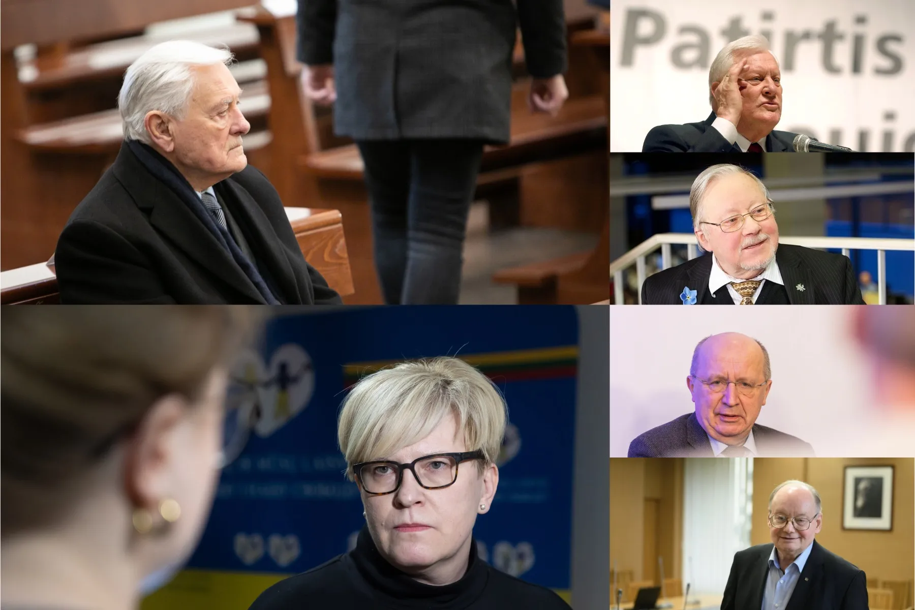 Lietuvos politikai / DELFI, ELTOS, LRYTO.LT ir R. Tenio nuotr.