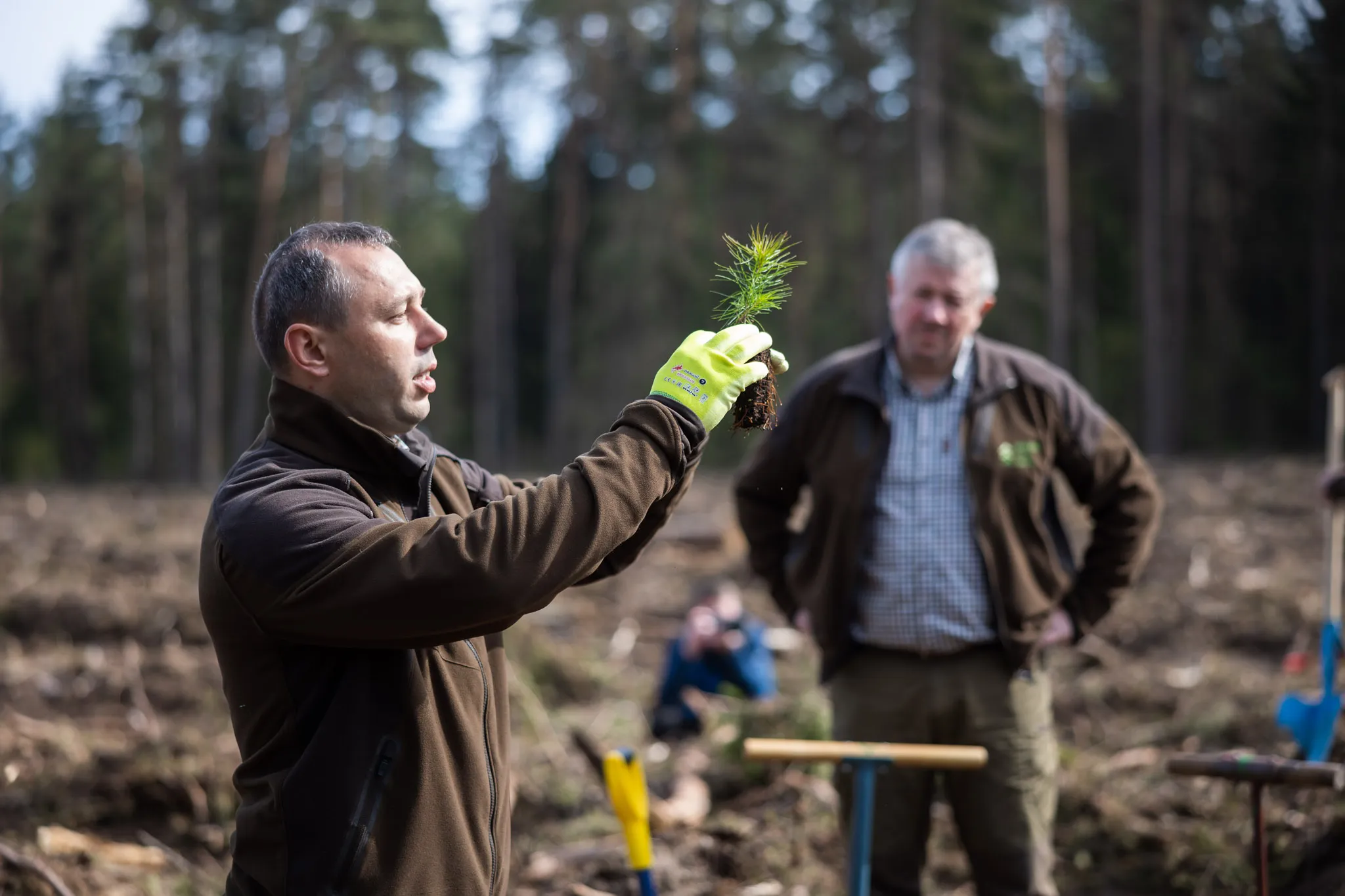 Nacionalinis miškasodis / Valstybinės miškų urėdijos nuotr.