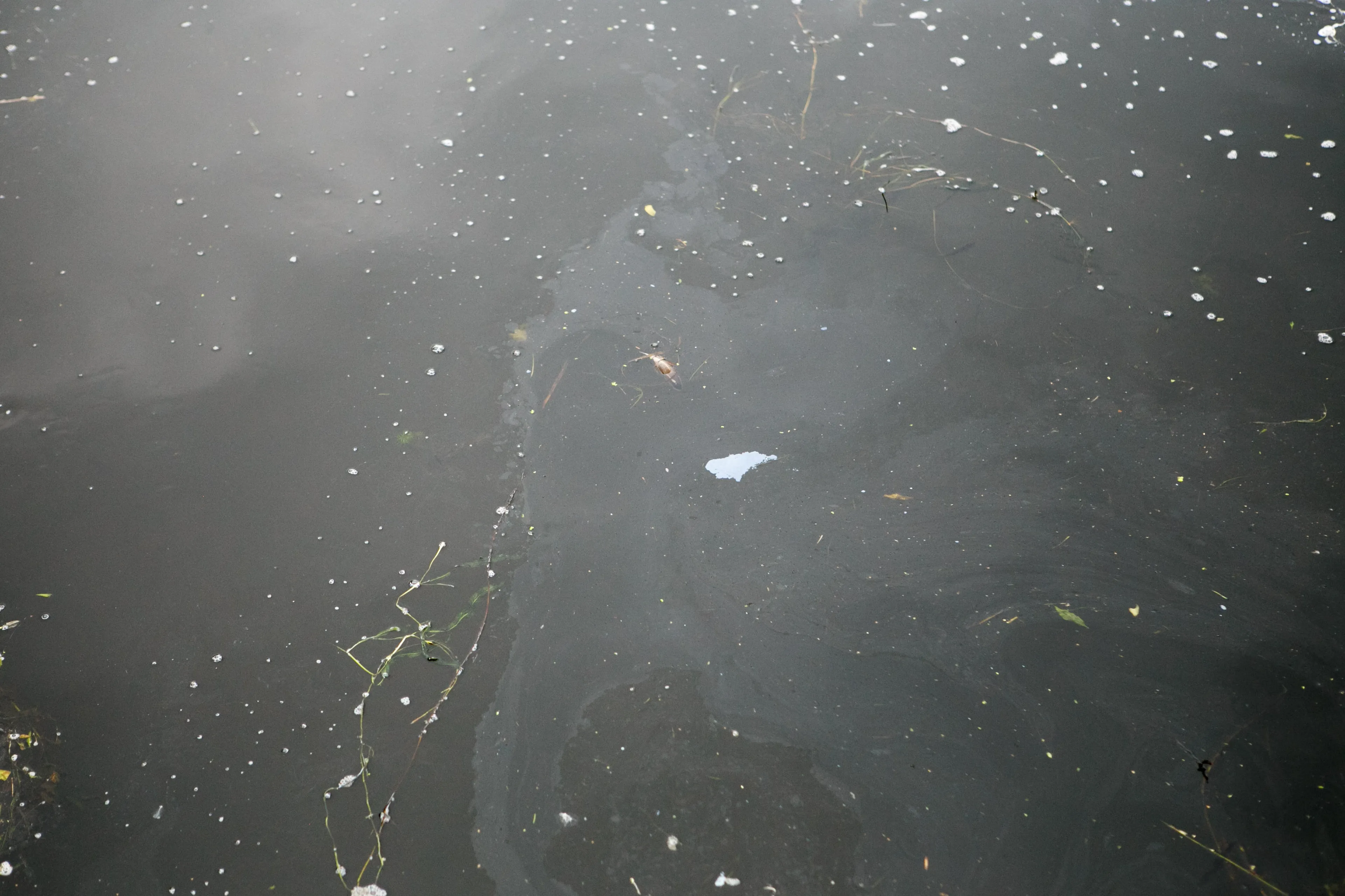 Naftos produktų dėmės Nemune