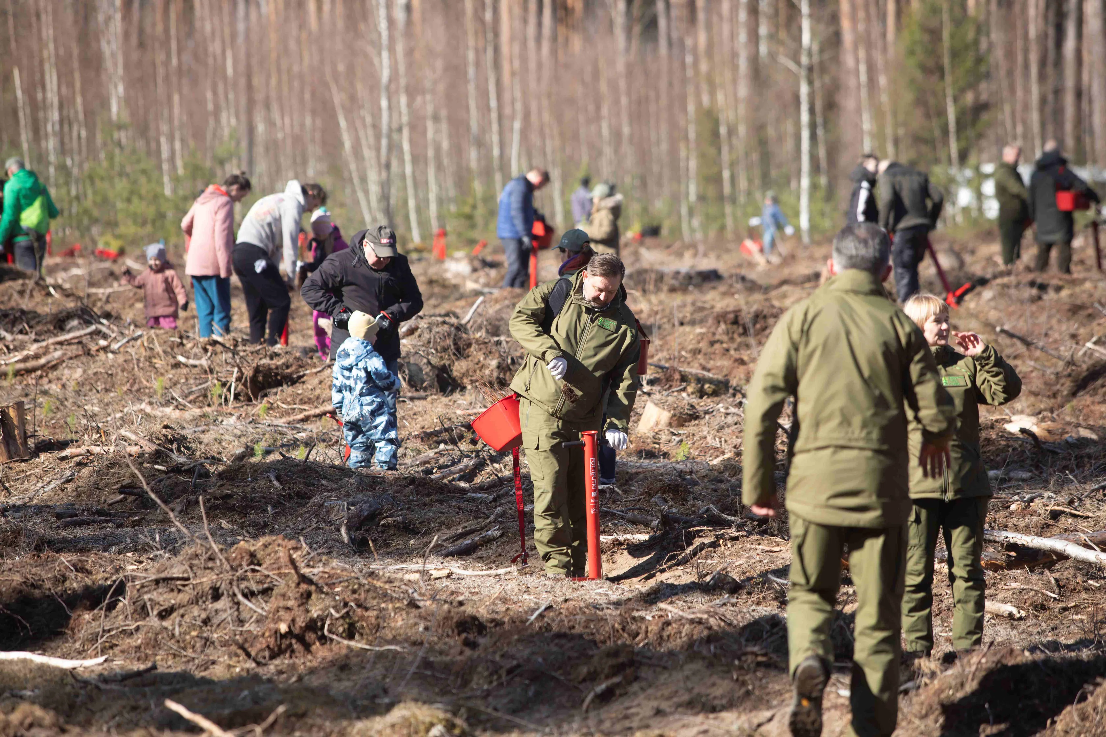 Nacionalinis miškasodis 2025 / Organizatorių nuotr.