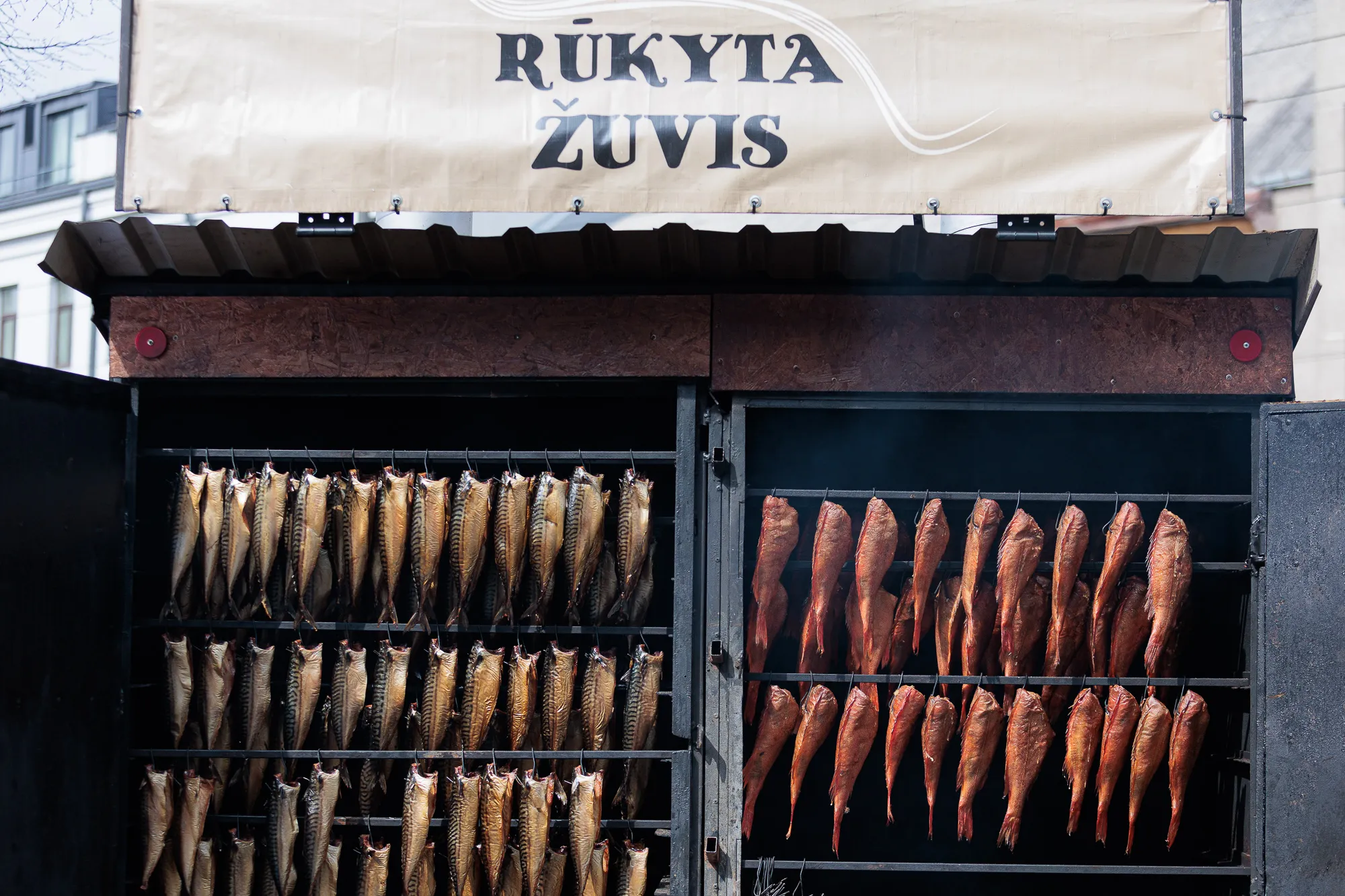 Pavasario mugė Laisvės alėjoje / R. Tenio nuotr.