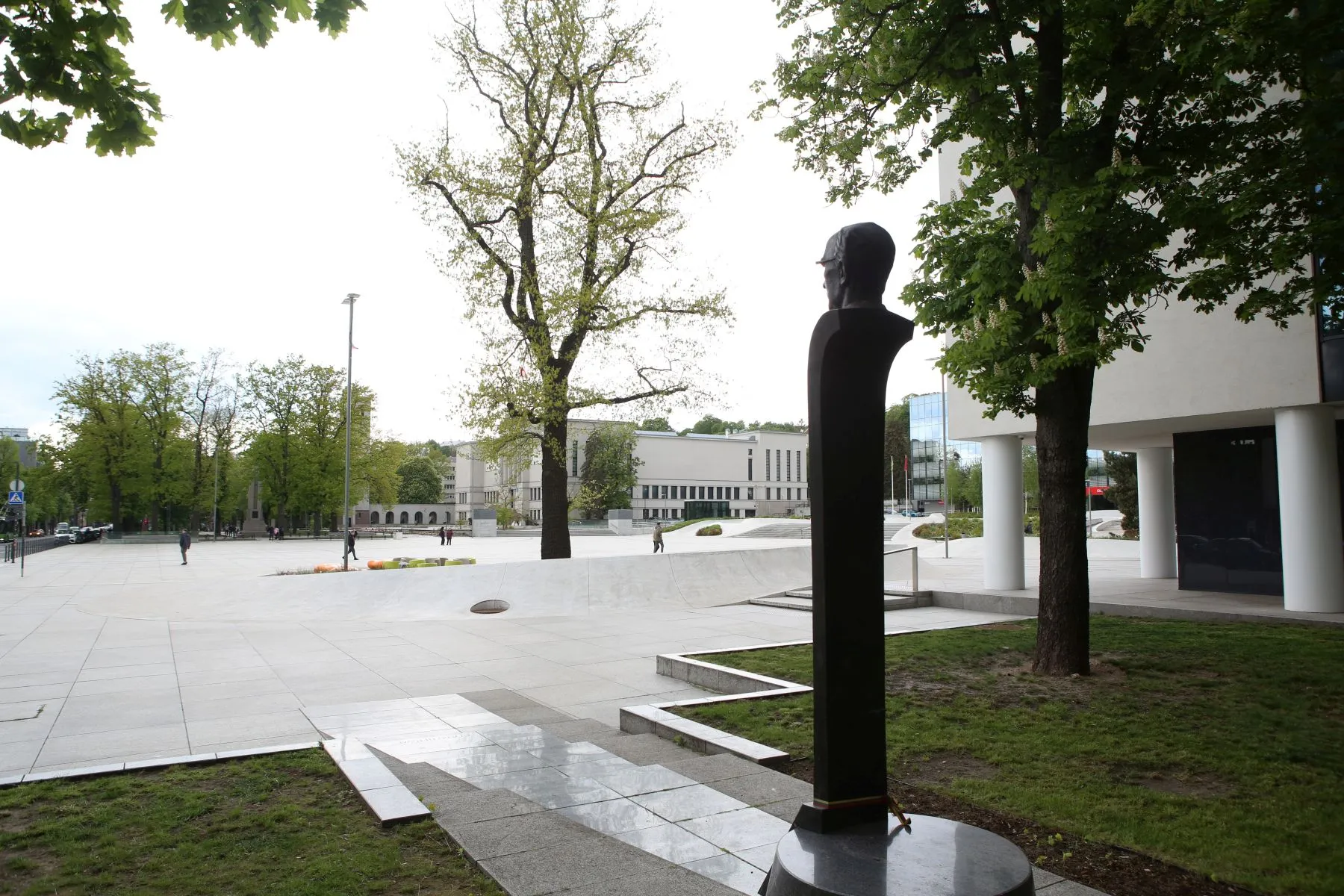 Vienybės aikštės ąžuolas / M. Patašiaus nuotr.