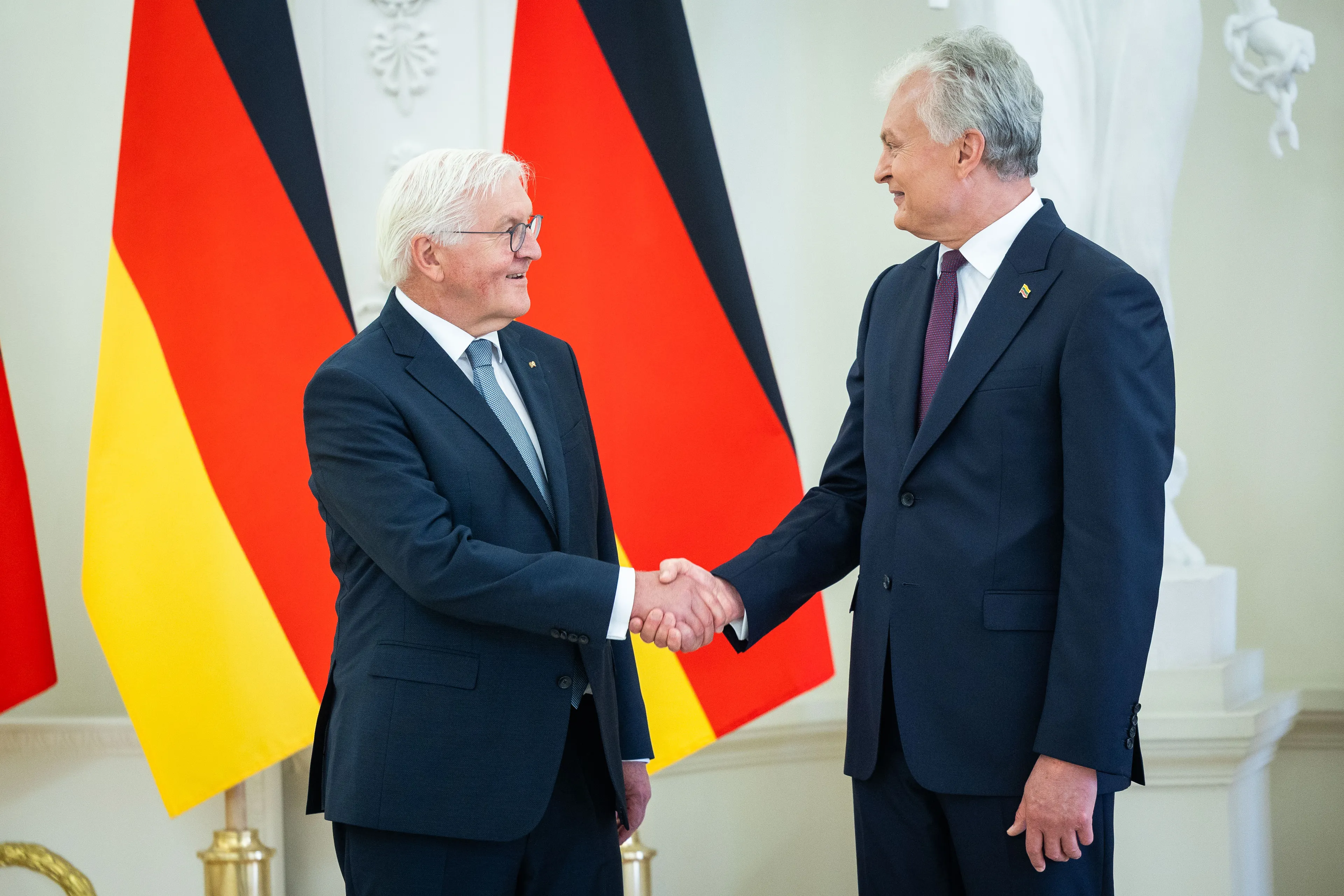 Frankas Walteris Steinmeieris ir Gitanas Nausėda / R. Riabovo / BNS nuotr.