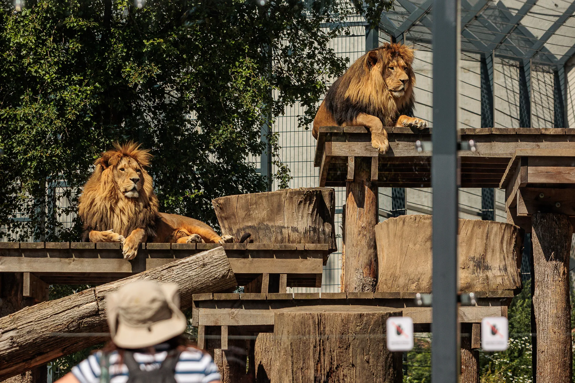 Zoologijos sodo gimtadienis / R. Tenio nuotr.