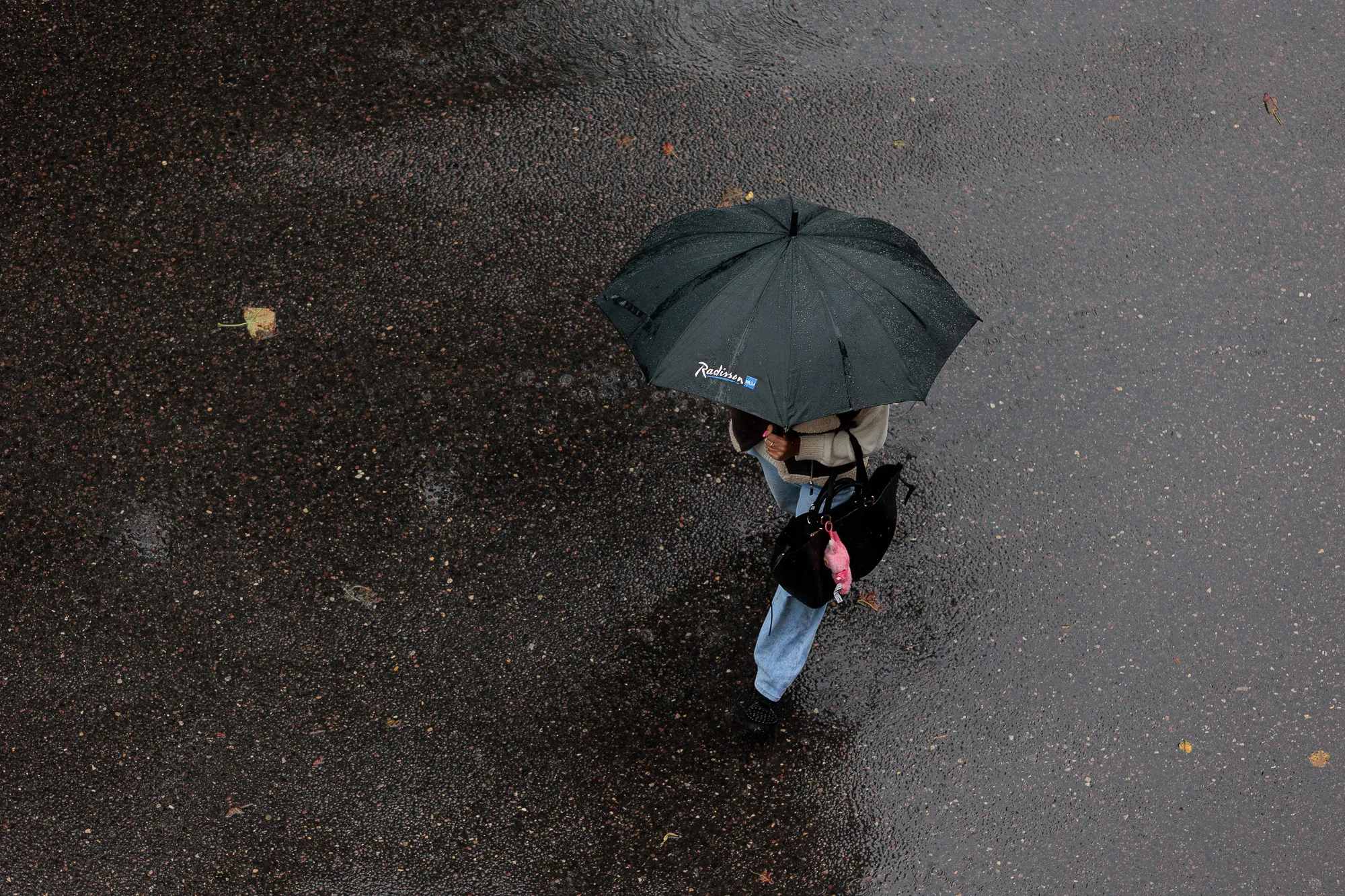 Lietus, skėčiai / R. Tenio nuotr.