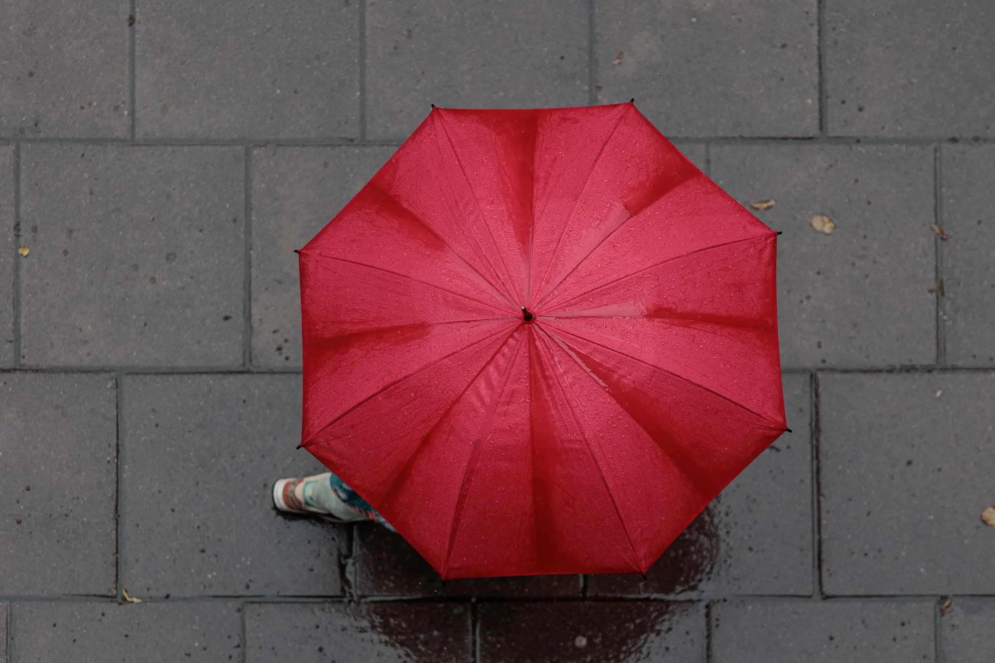 Lietus, skėčiai / R. Tenio nuotr.