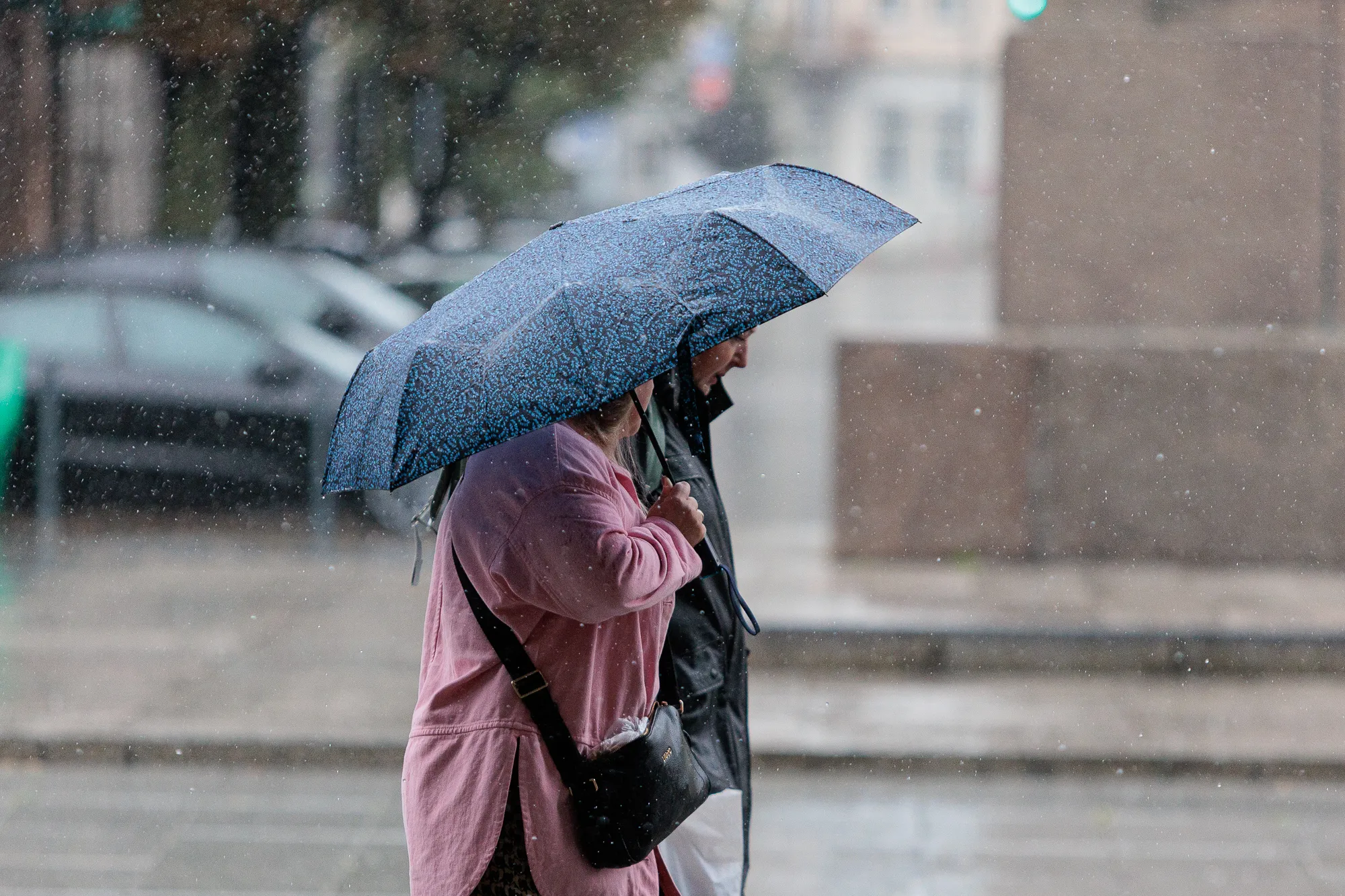 Lietus, skėčiai / R. Tenio nuotr.