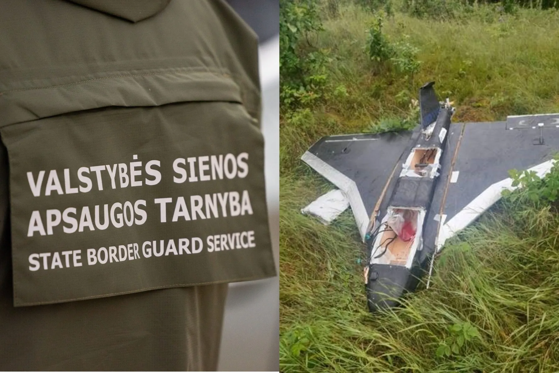 savadarbė skraidyklė