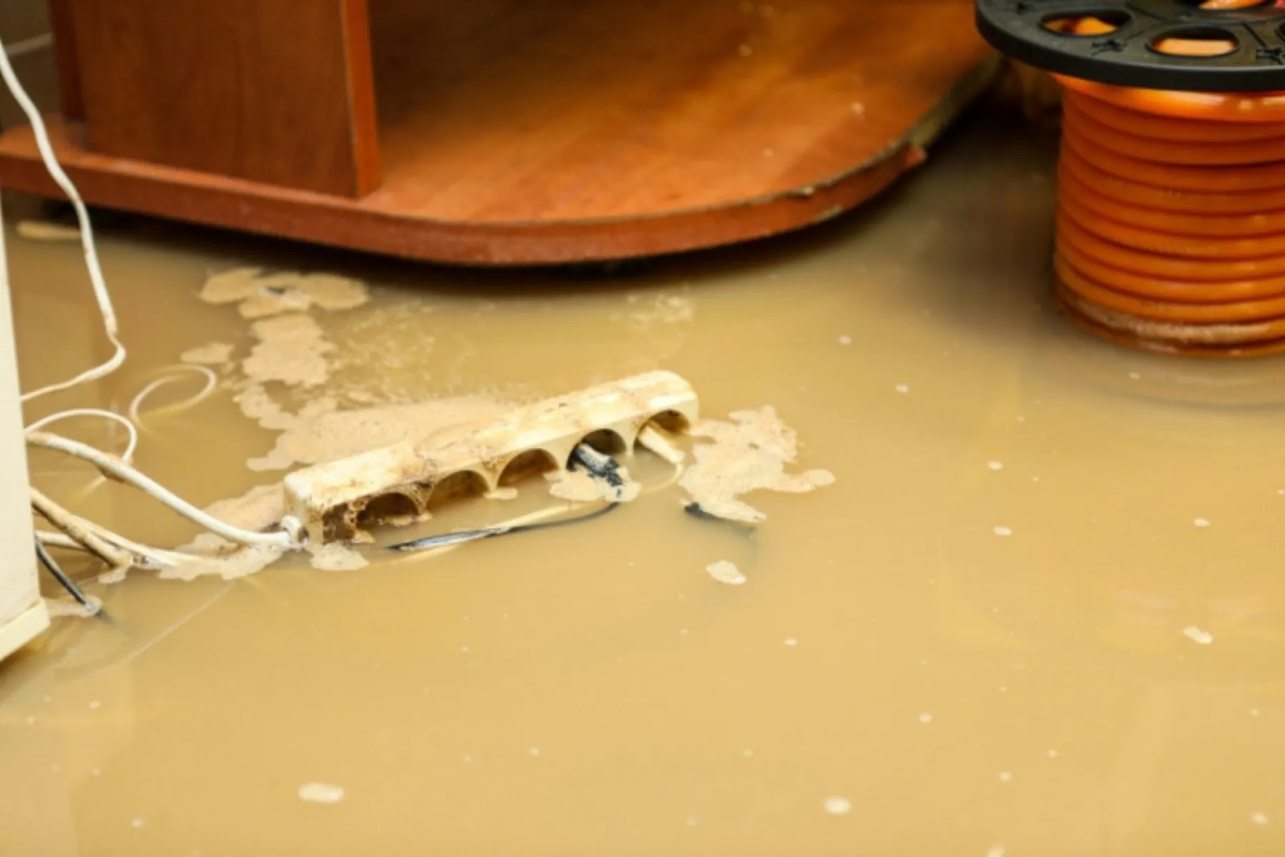 Eriko Ovčarenko / BNS nuotr.