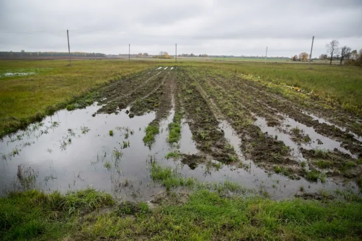 Laukai, lietus, potvynis