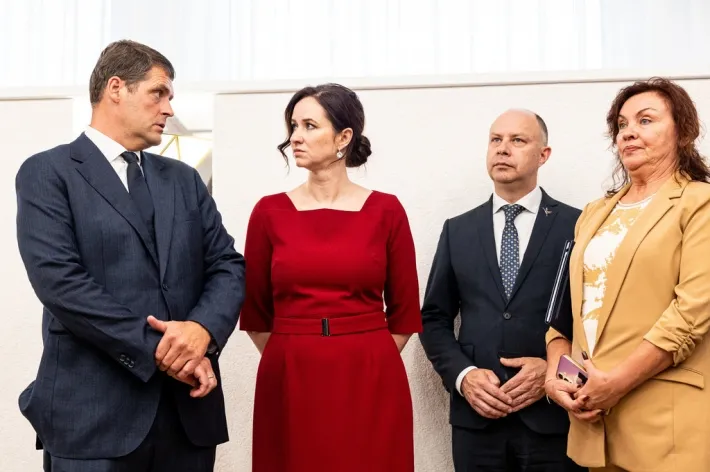 Ruginienė, Žemaitaitis, Vergyga, koalicija