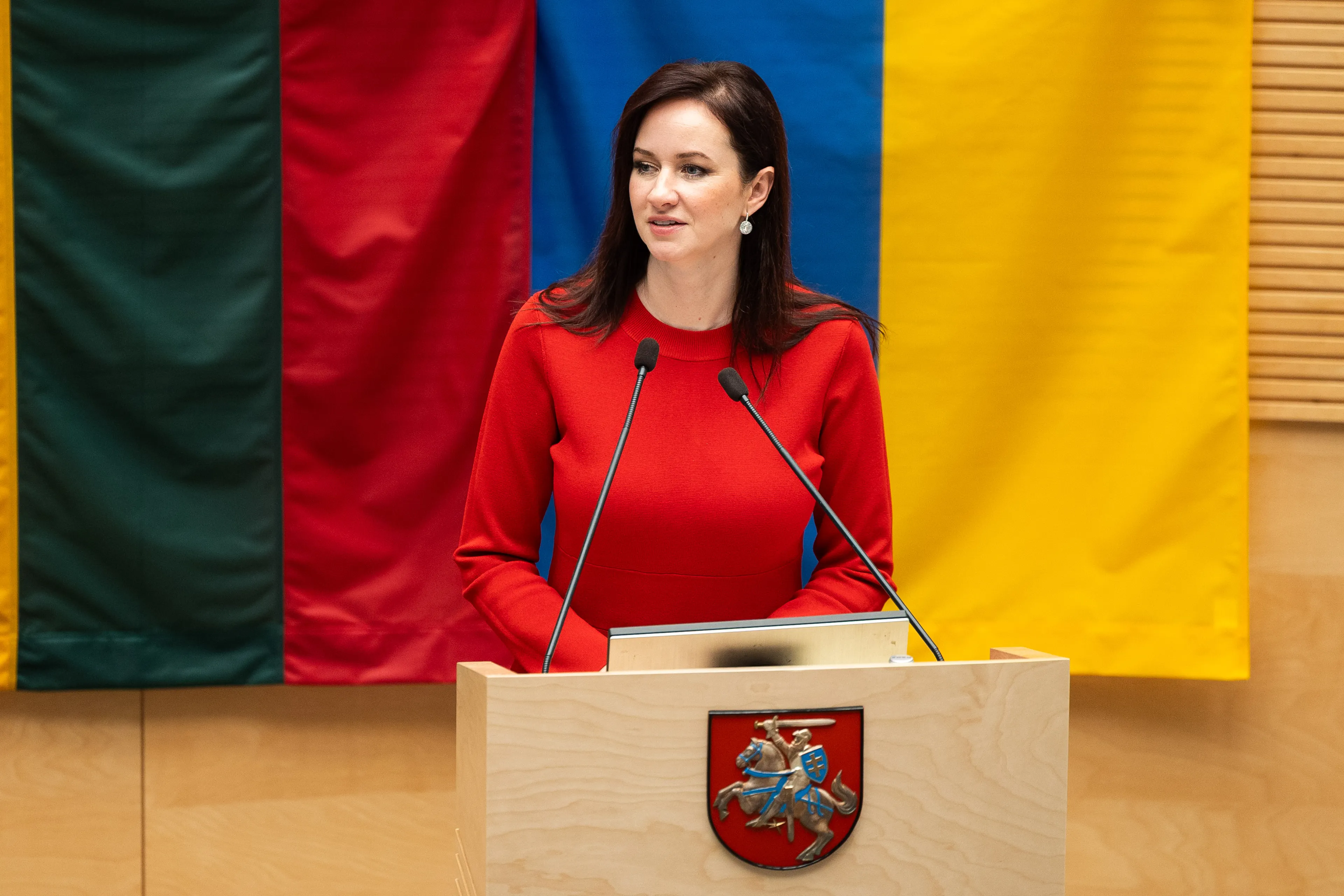 Seimas pritarė I. Ruginienės kandidatūrai į premjero postą